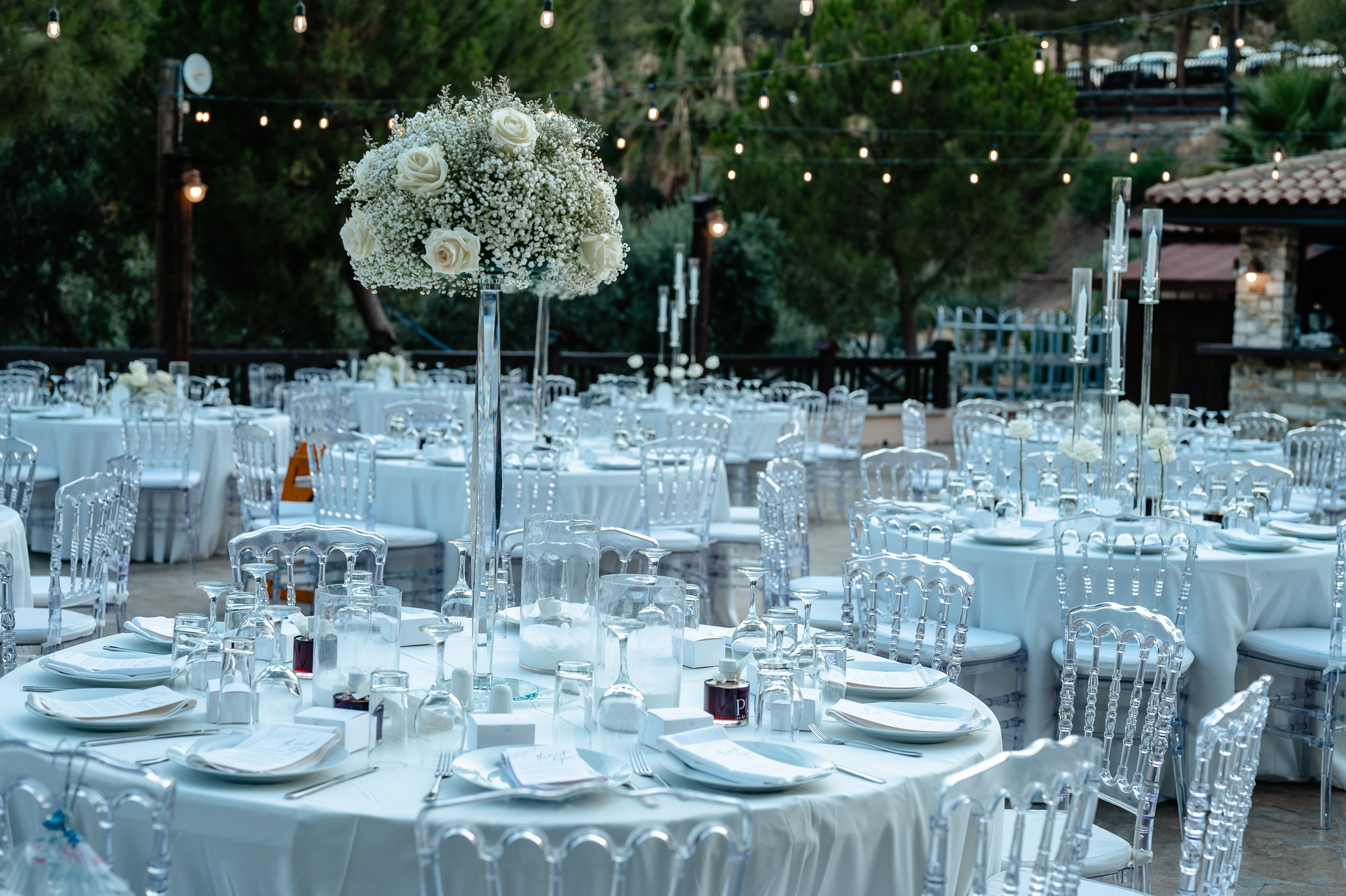 Jessy&Petros. AdrianOltean.wfolio.pro