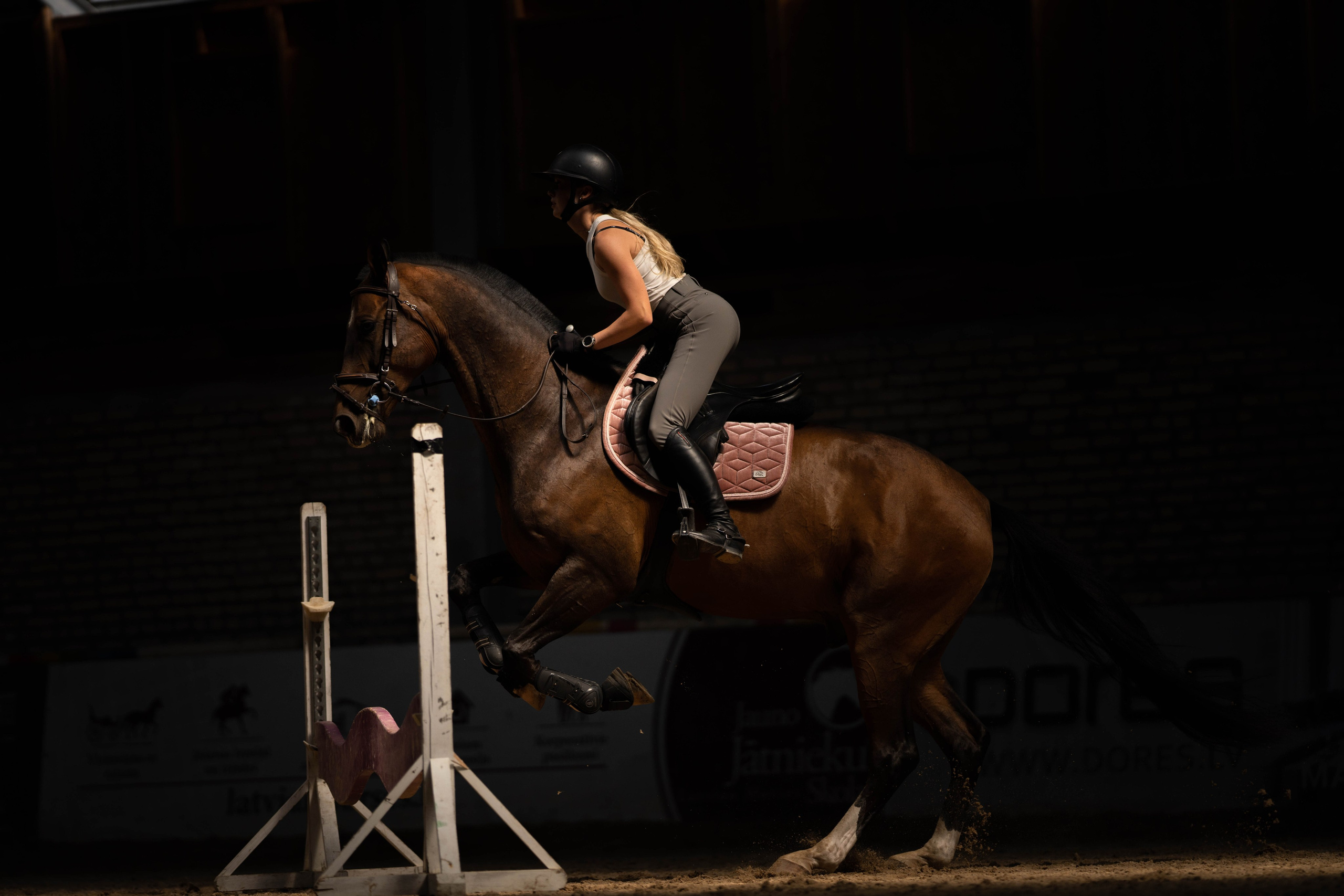 Equestrian sports. Sports and portrait photographer in Riga