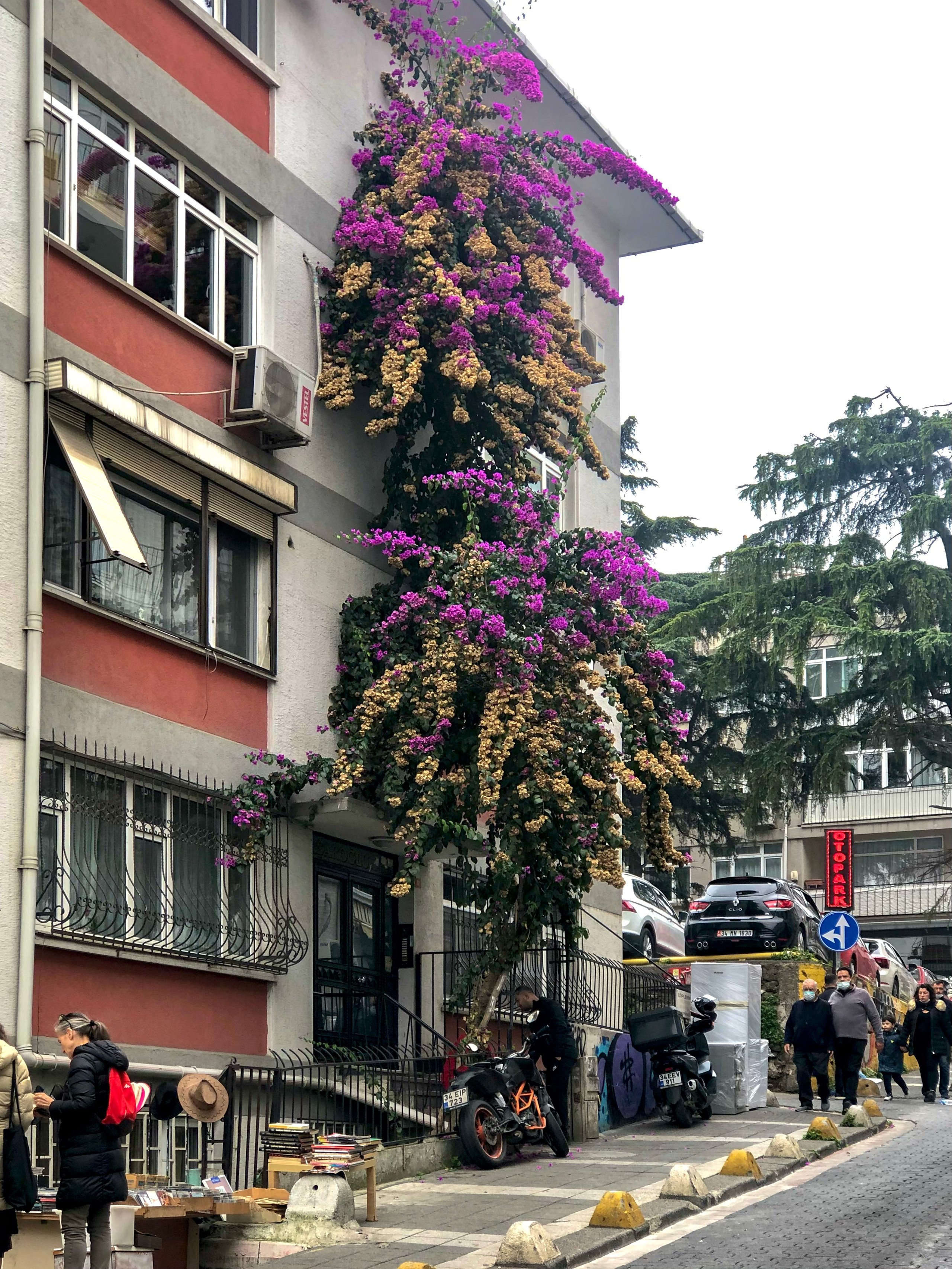 Istanbul. BNW Around Photography