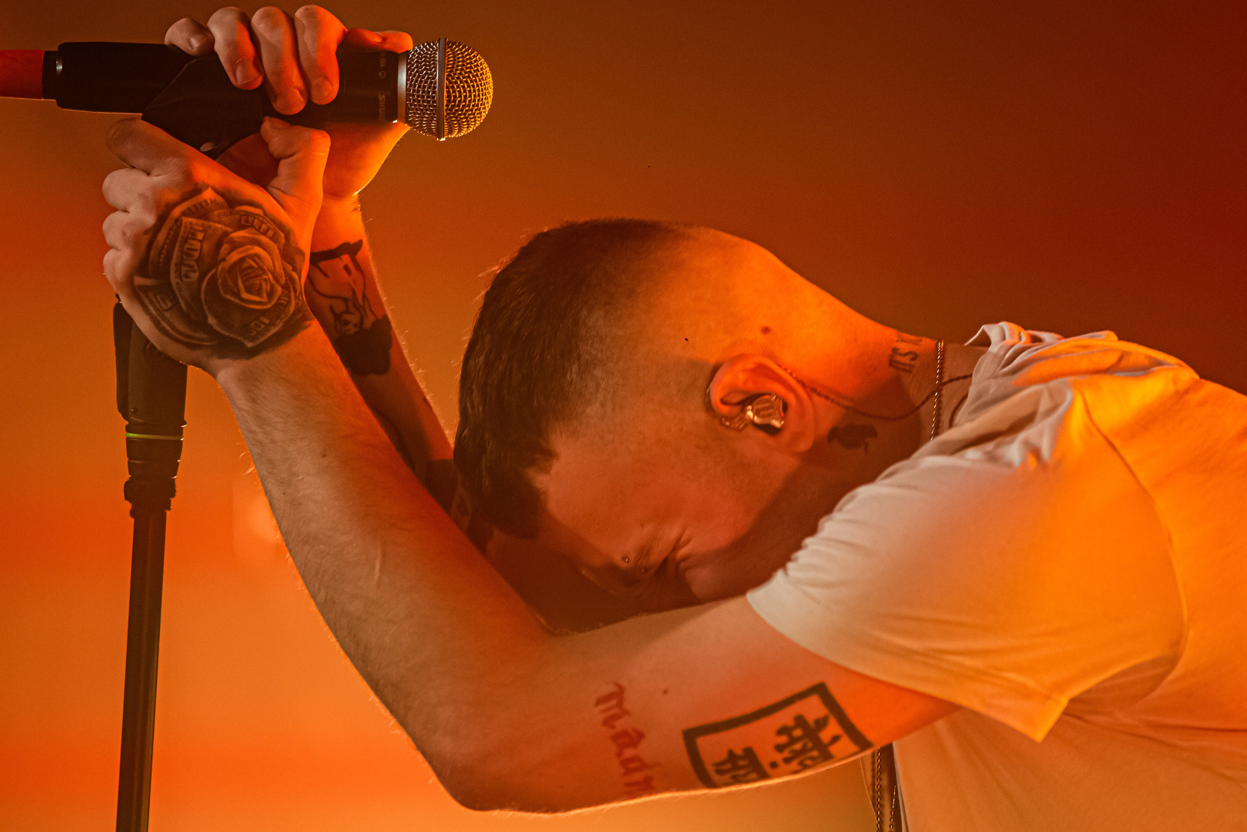 Ptashkin. Репортажний фотограф/анімаліст КИЇВ