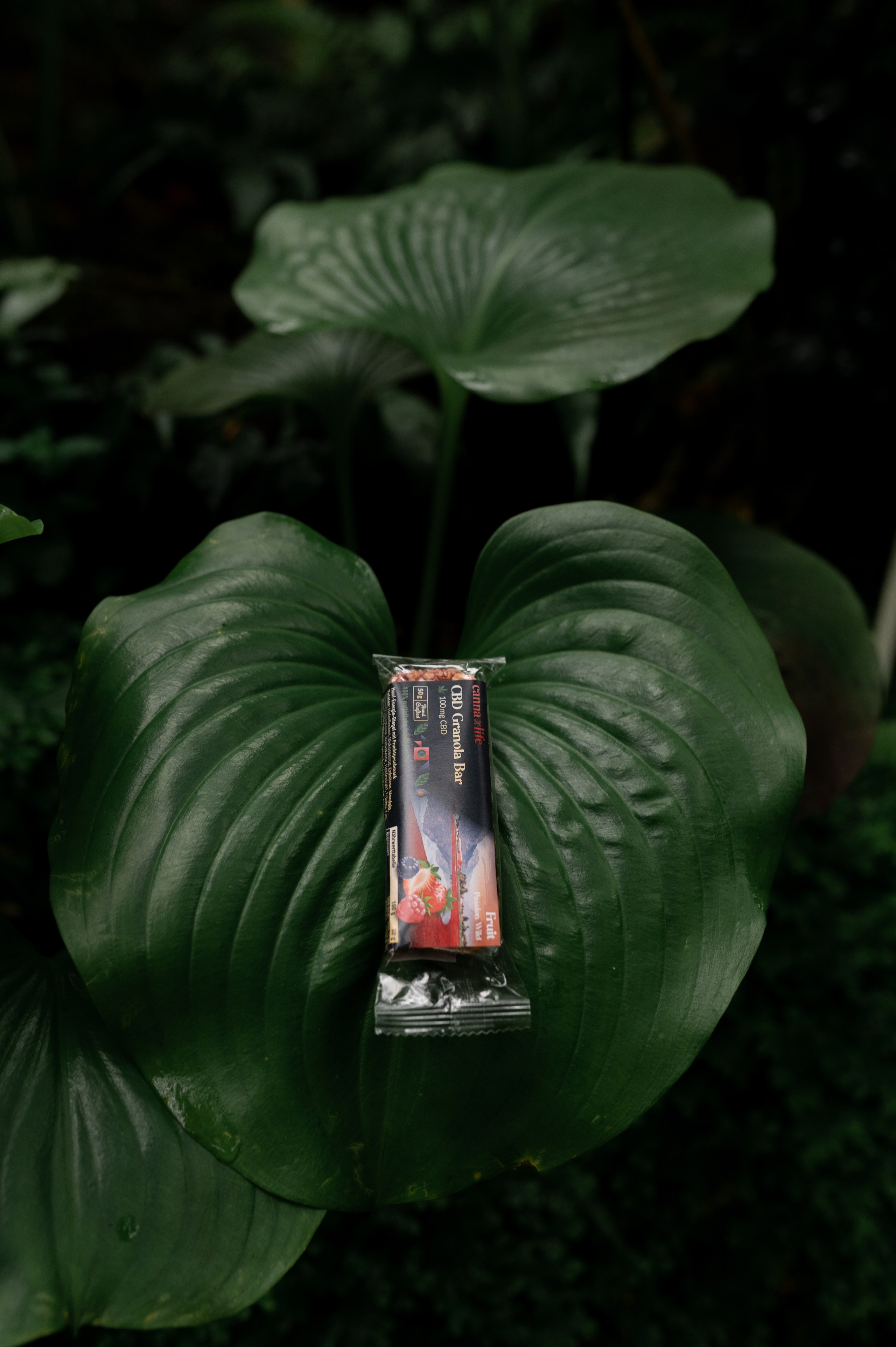 CannaXlife CBD products. ANNA-MARIA PHOTO CONTENT CREATOR — фотограф, эстет, художник и визуальный эксперт в Instagram, работающий в Праге