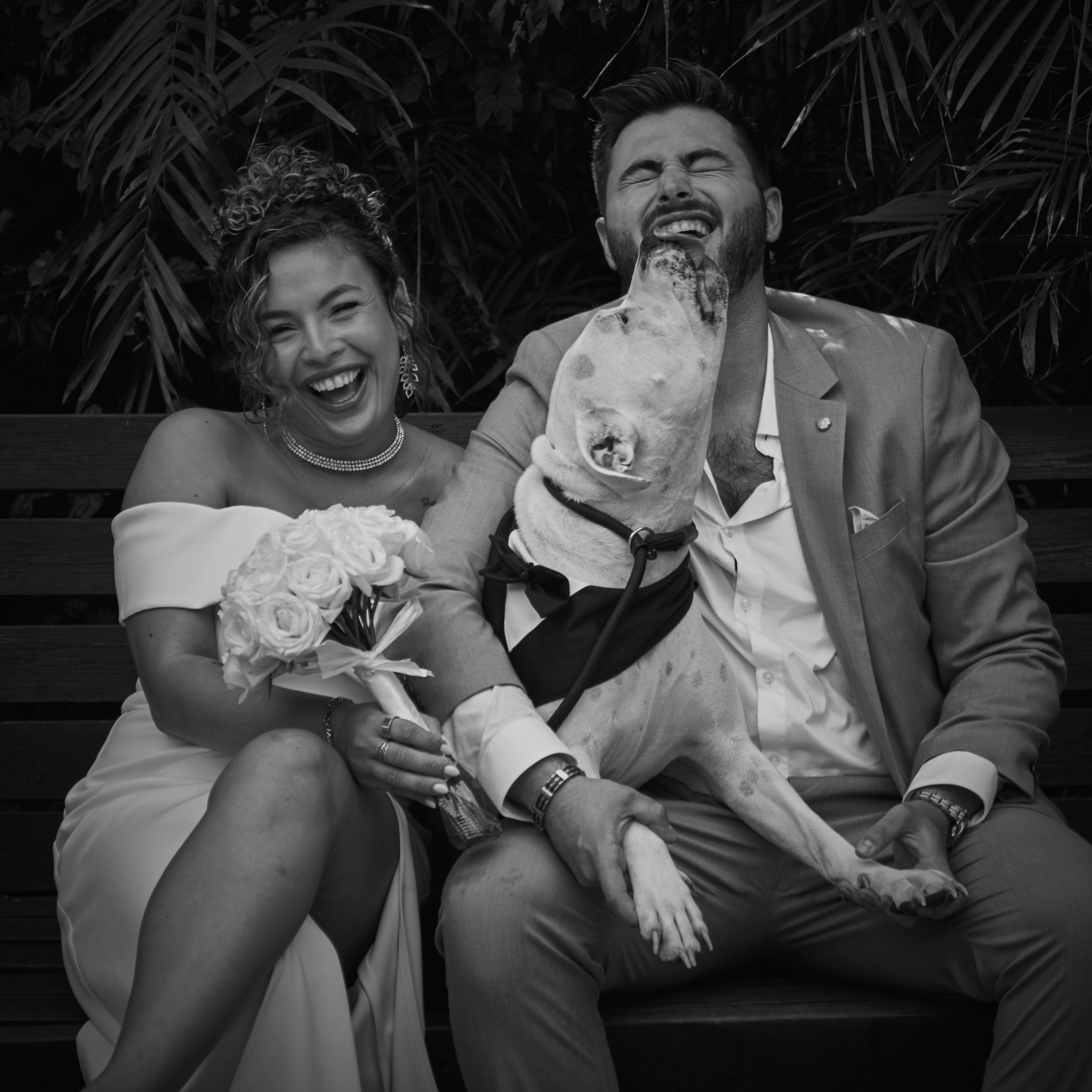 Amit & Jonatan. Middle East Photo Agency — Photography & Event Magnets — סוכנות צילום והדפסת מגנטים לאירועים