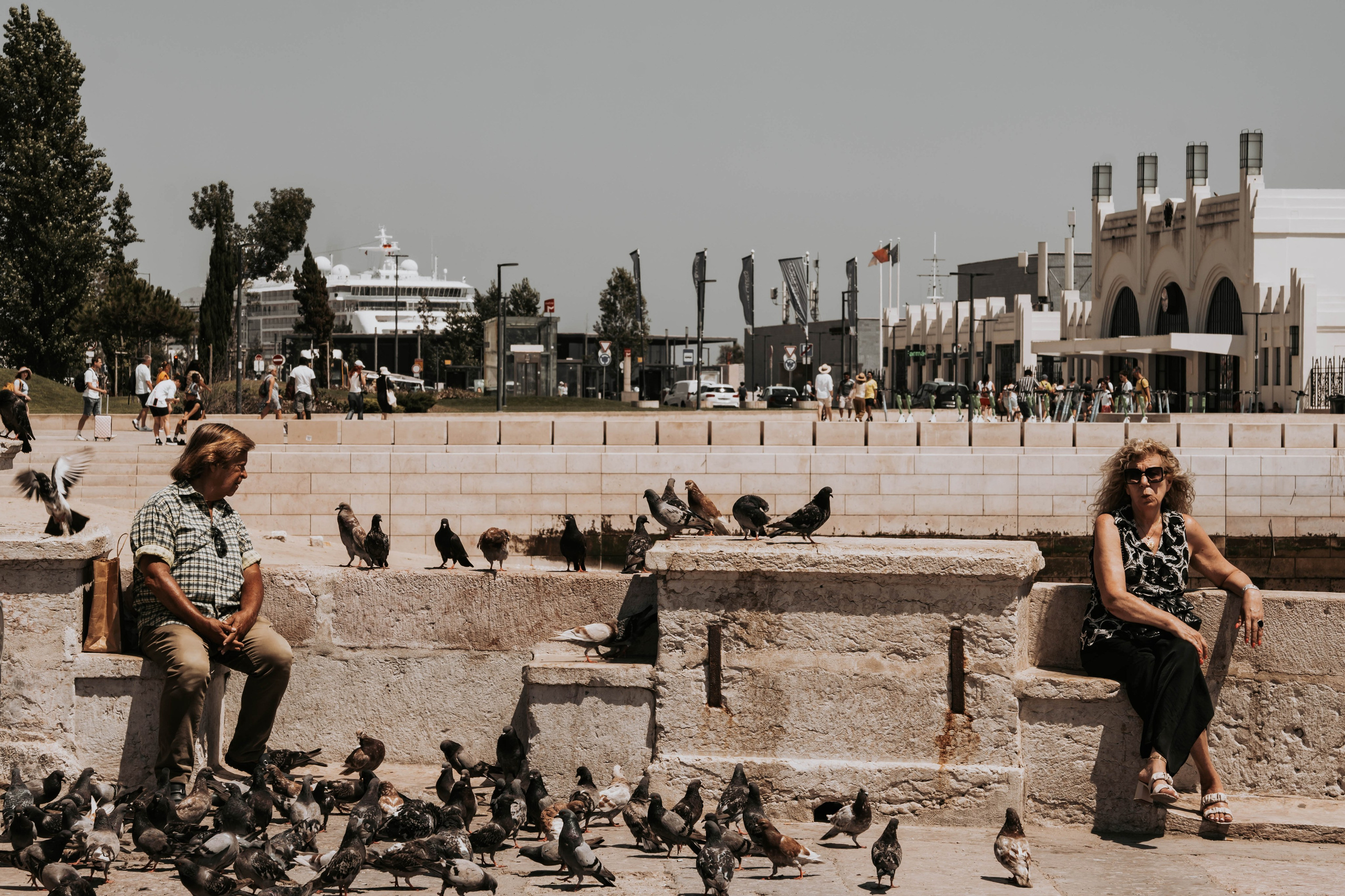 Lisboa, Agosto 2024. Alba del Norte Studio