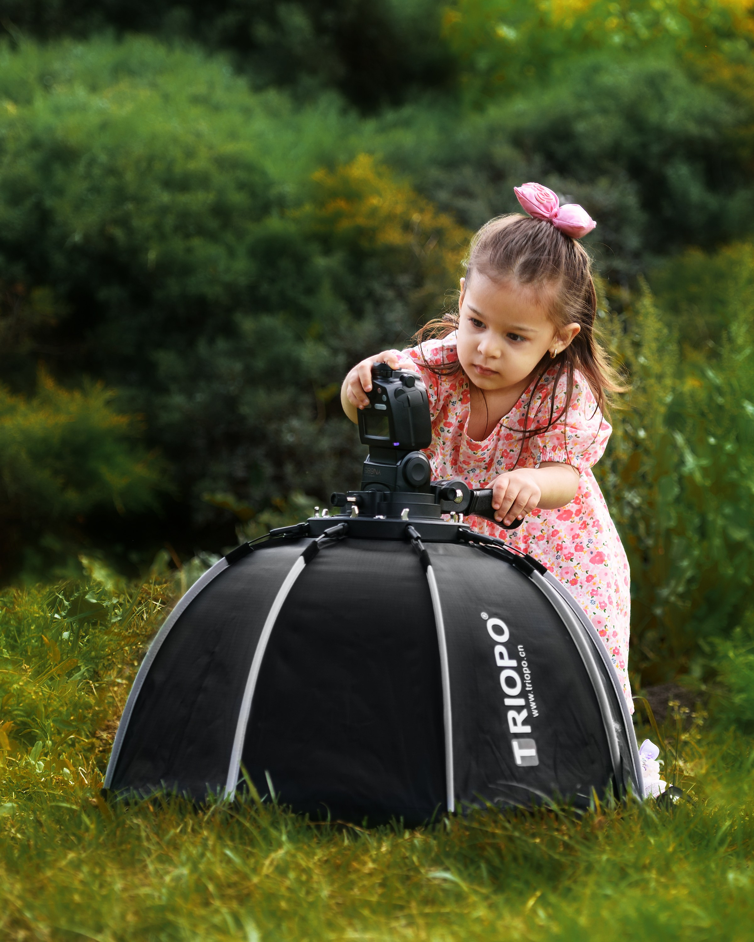 «Ассистент фотографа». Ваш фотограф в Ашхабаде Гамлет Осипов