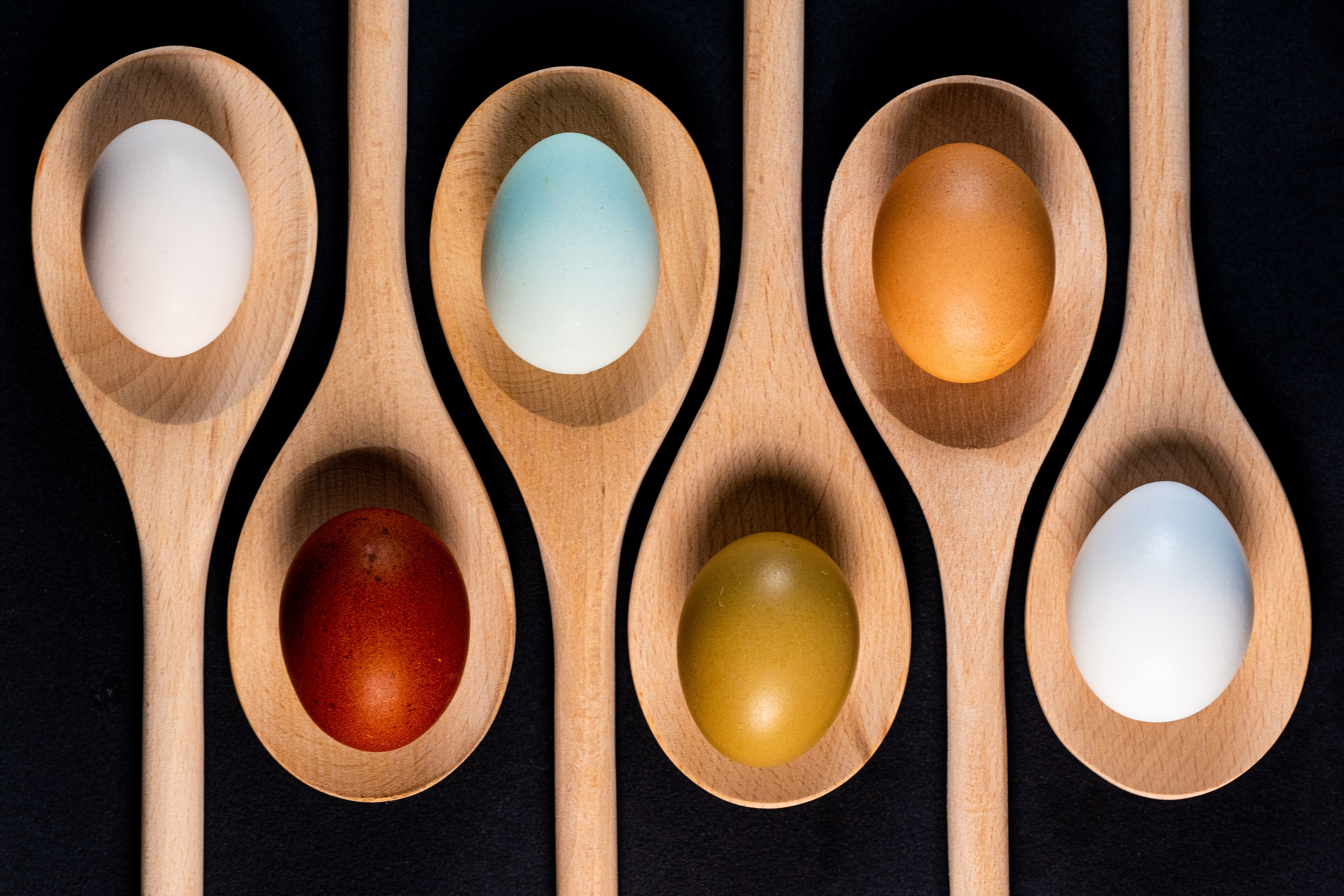 L’uovo. “Gianmaria Coscia fotografo per passione”