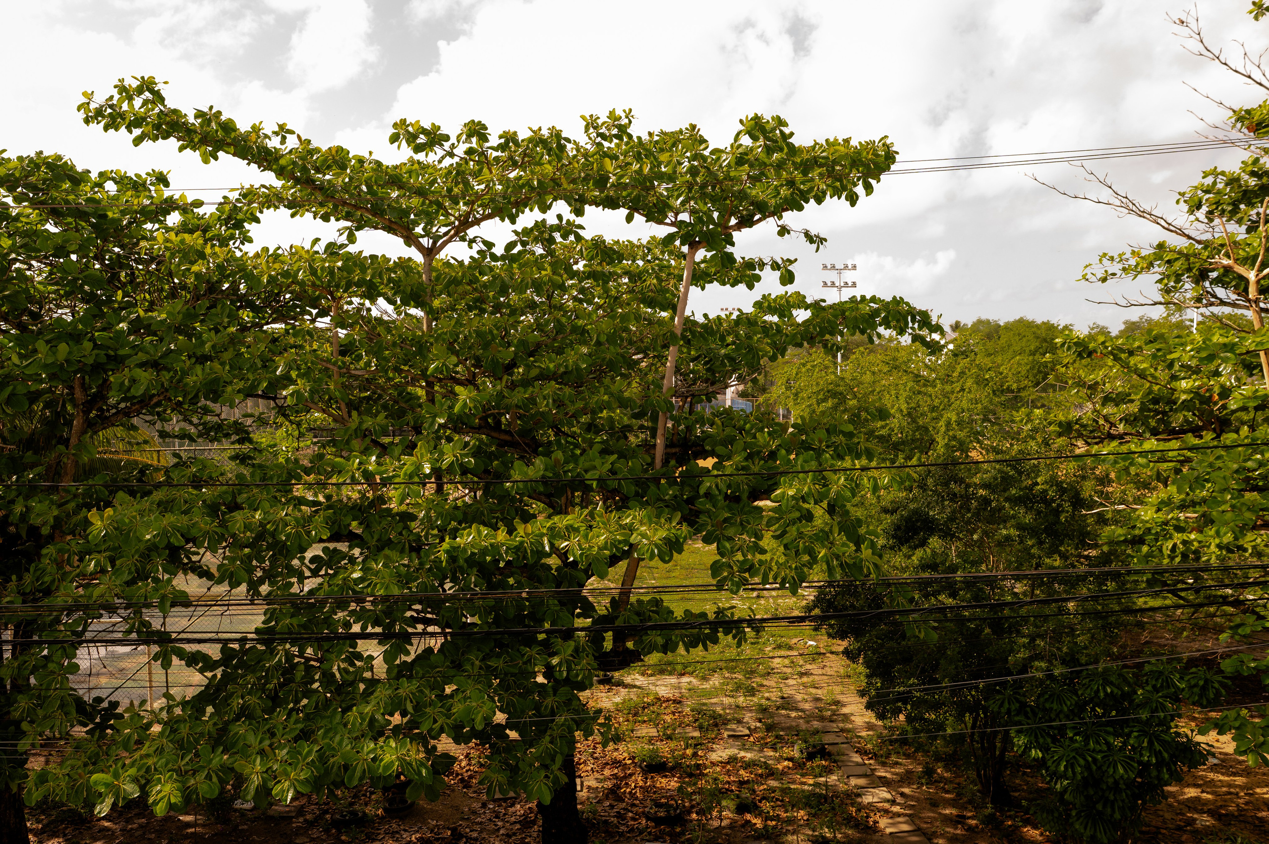Parto Bia ~Nascimento Kauã. Água Carmim Fotografia