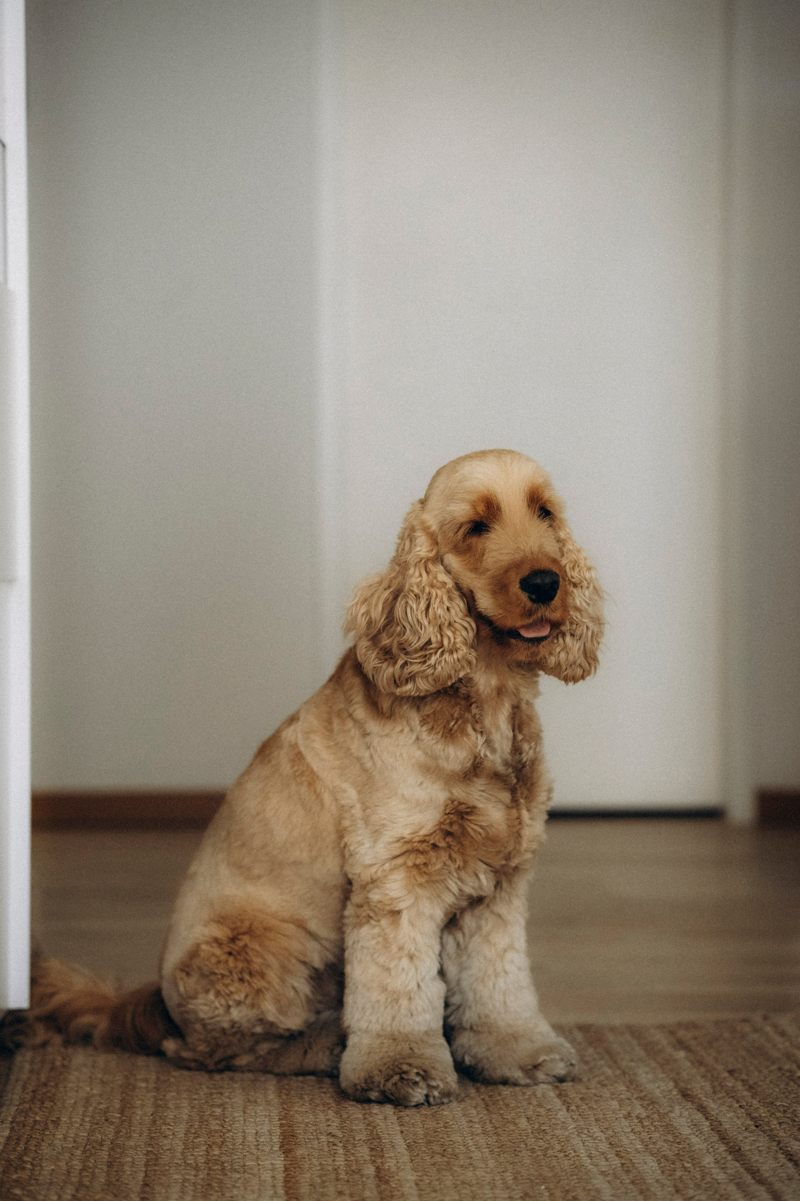 Federico, Dasha, Vera & Yura. Фотографы Минск и мир