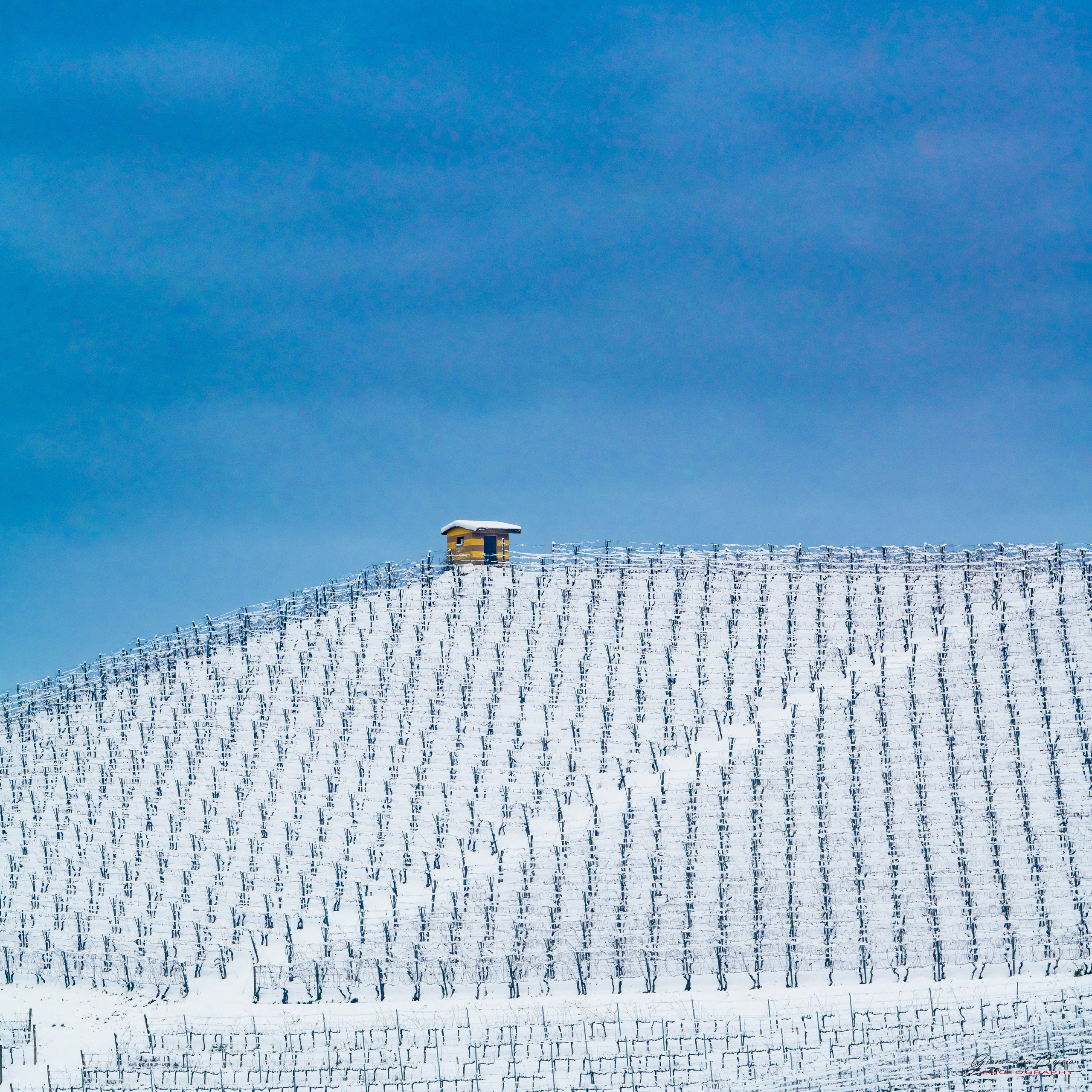 Langhe. “Gianmaria Coscia fotografo per passione”