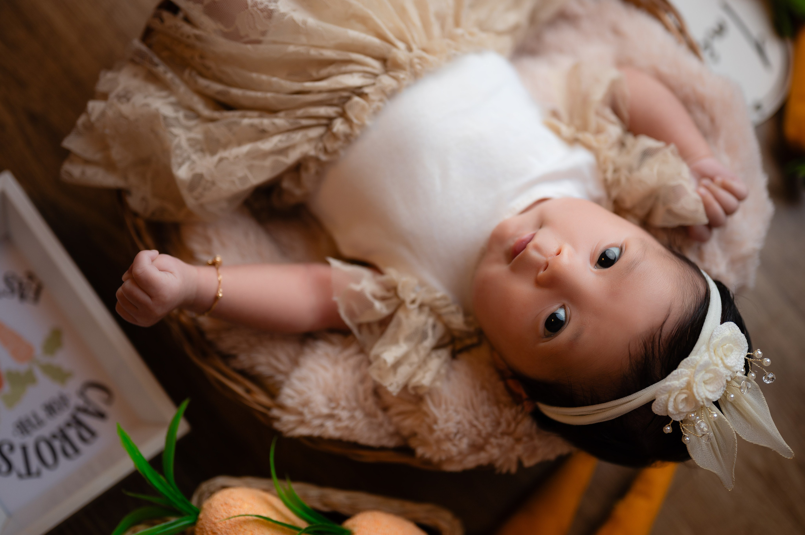 Acompanhamentos. Fotografamos famílias, gestantes, bebês e ensaios individuais