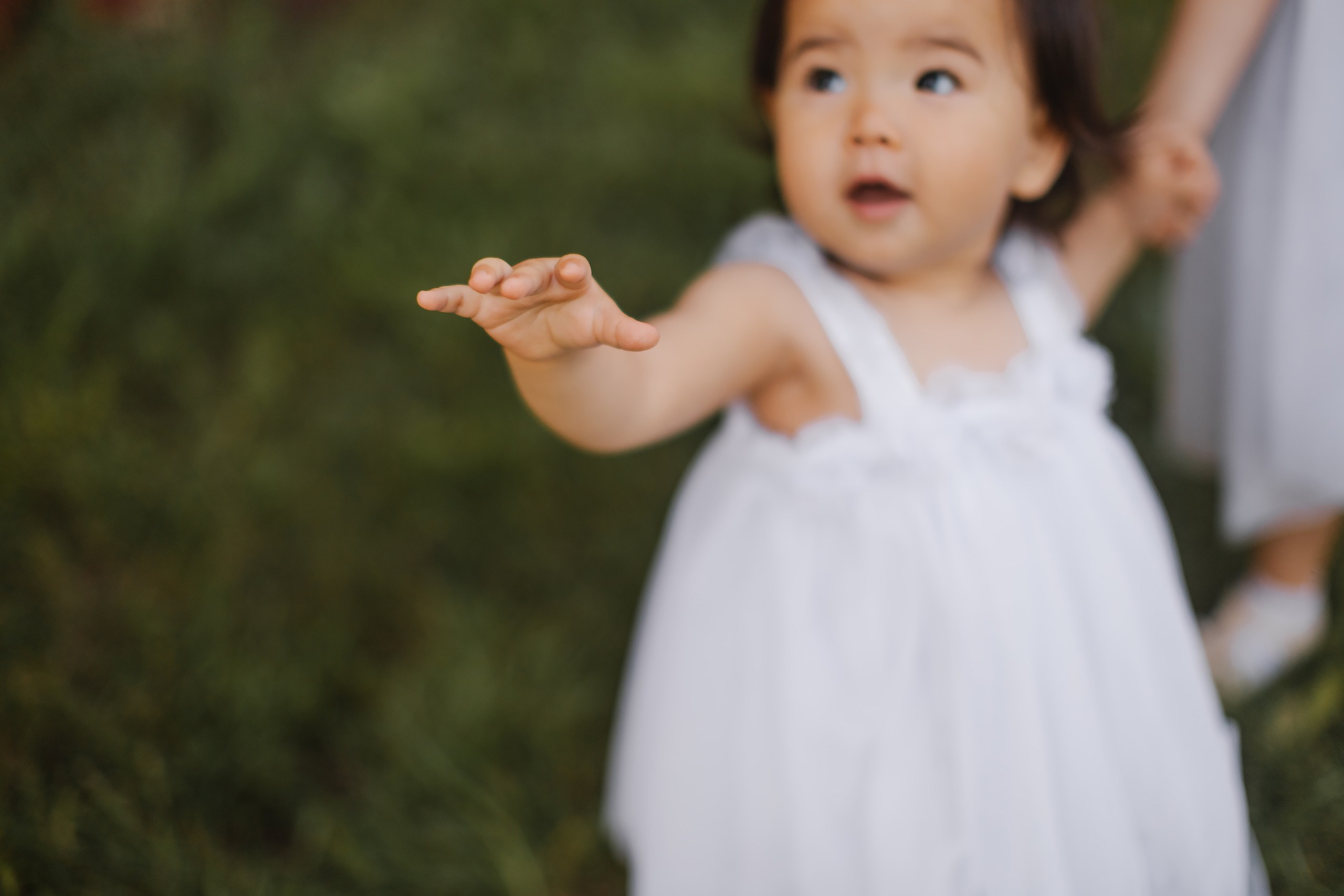 05.25.26 Family Photoshoot. Wedding family event photographer in Chicago Nick Yushevich
