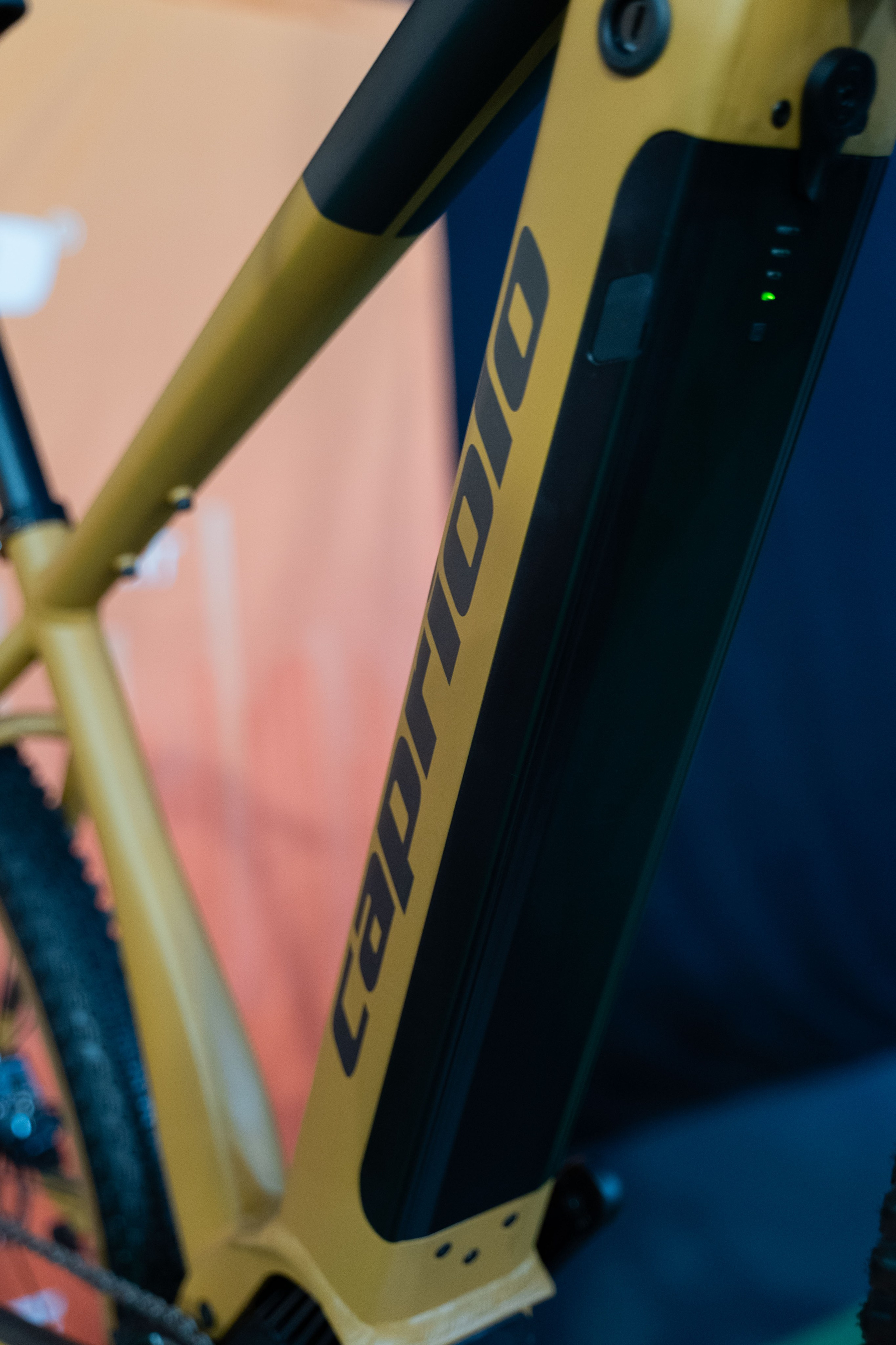 Electric Vehicles Days in Novi Sad 2024. Жуков Студио