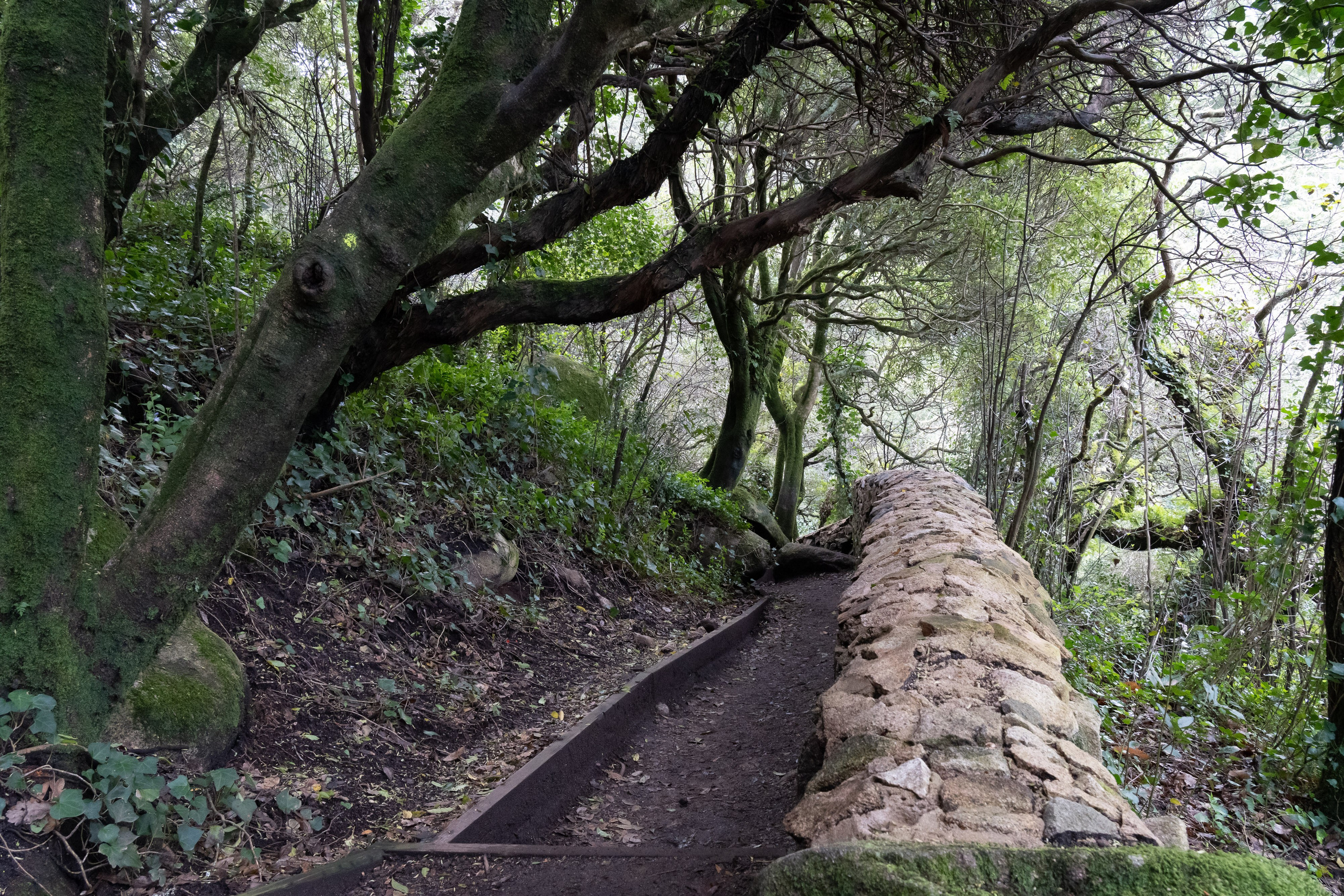 Lisabona 2025. Fotografiideplacere.net