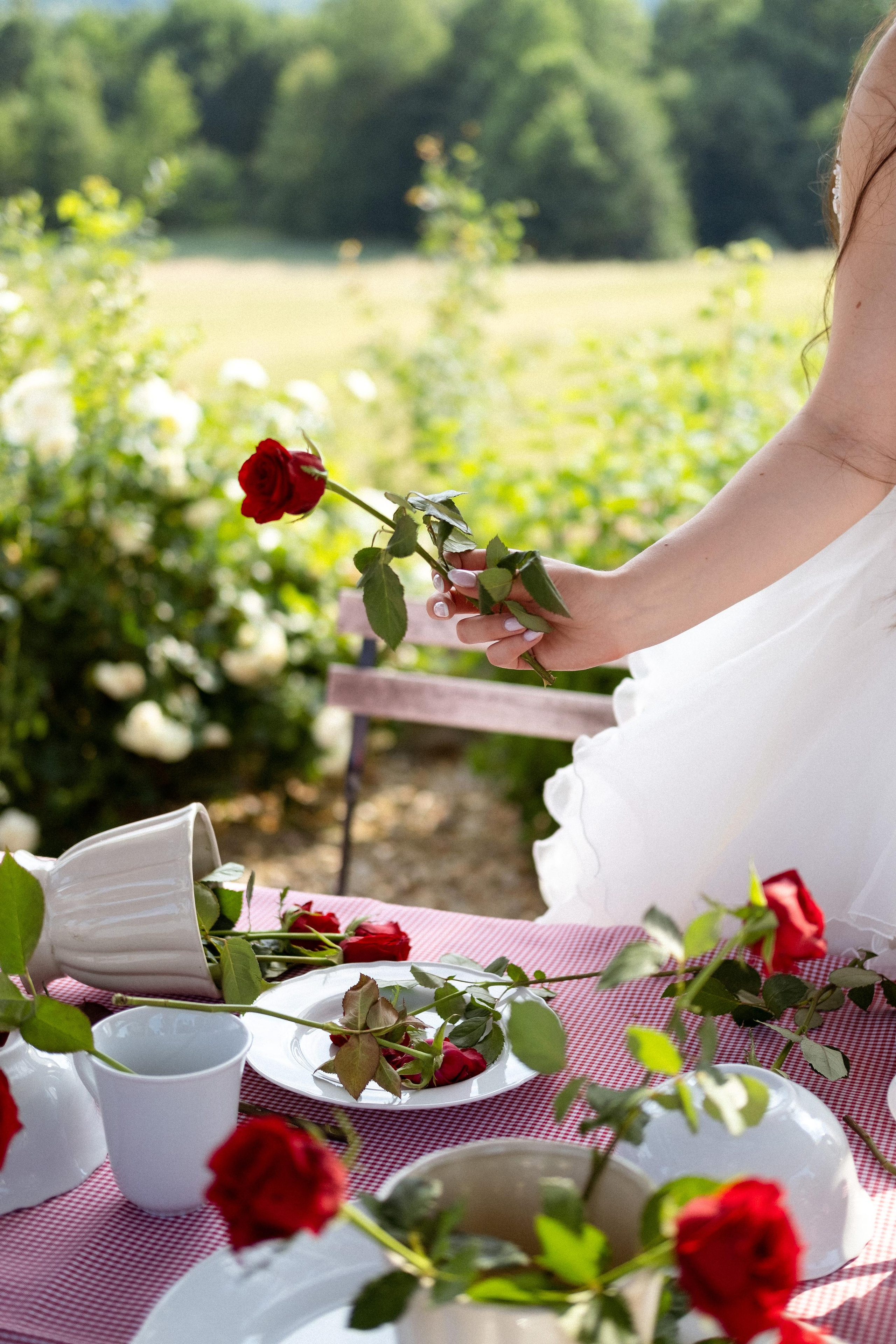 D&n. Wedding photography and videography in Regina, Saskatchewan