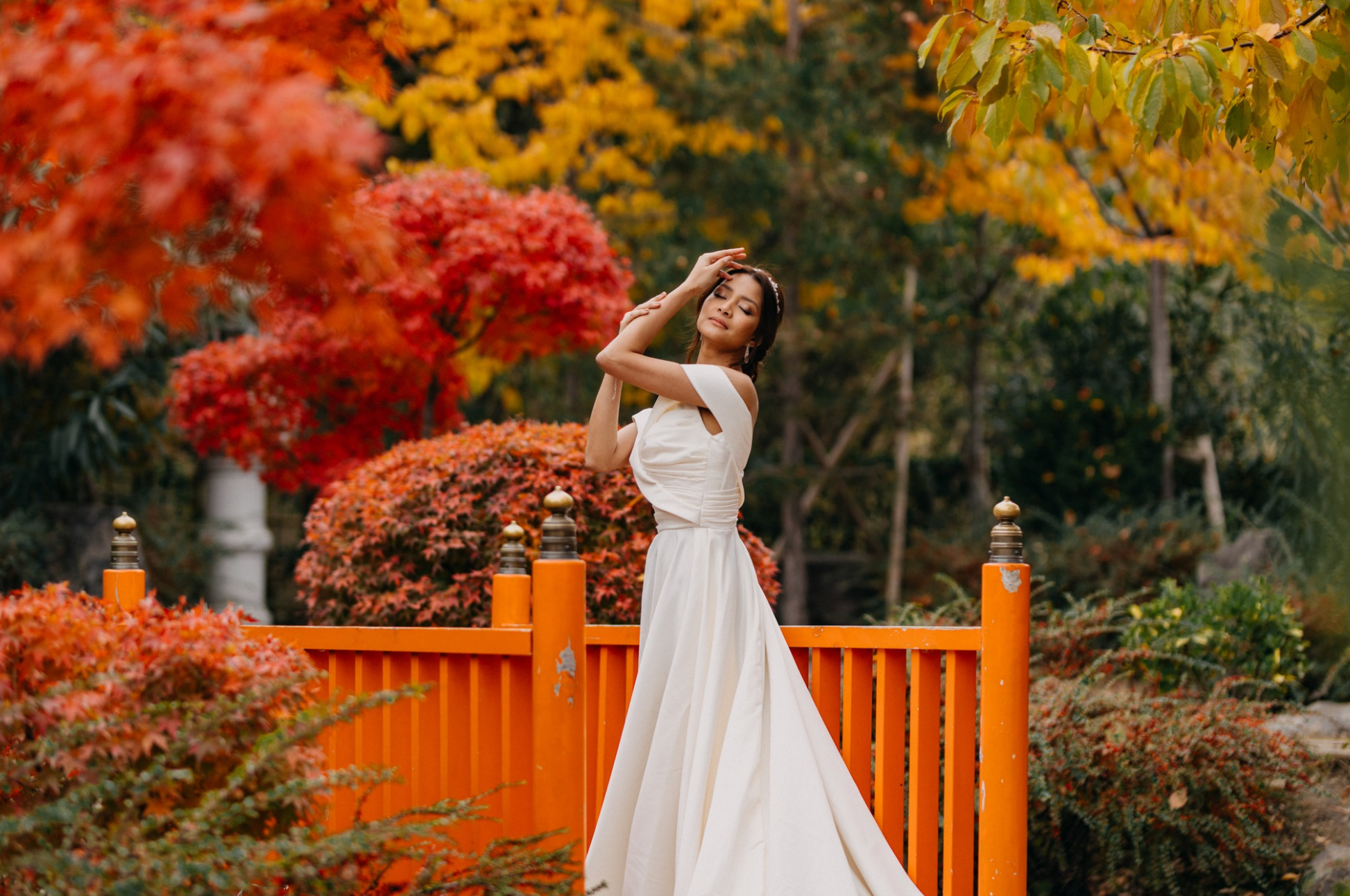 Ioseb Mamniashvili Photography