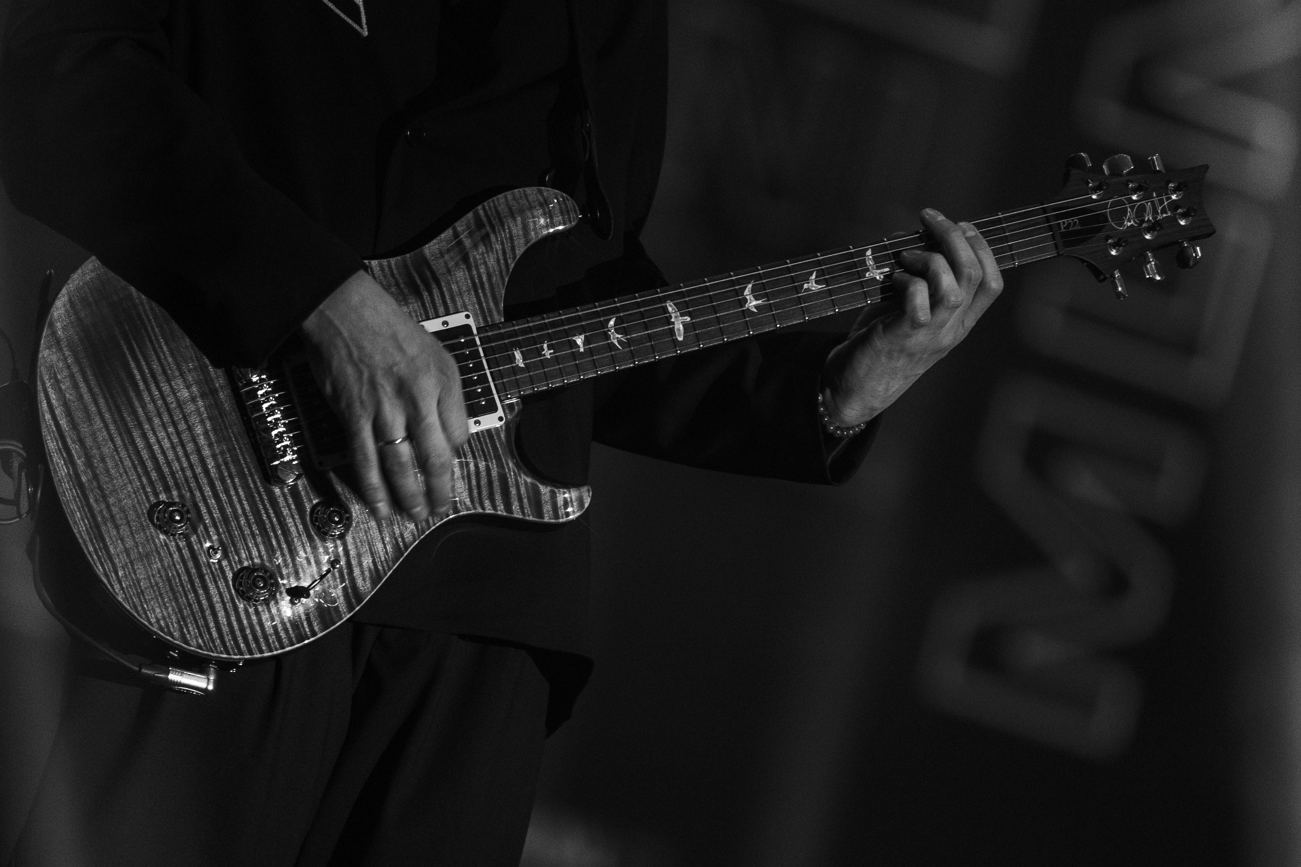 Antytila. Репортажний фотограф/анімаліст КИЇВ