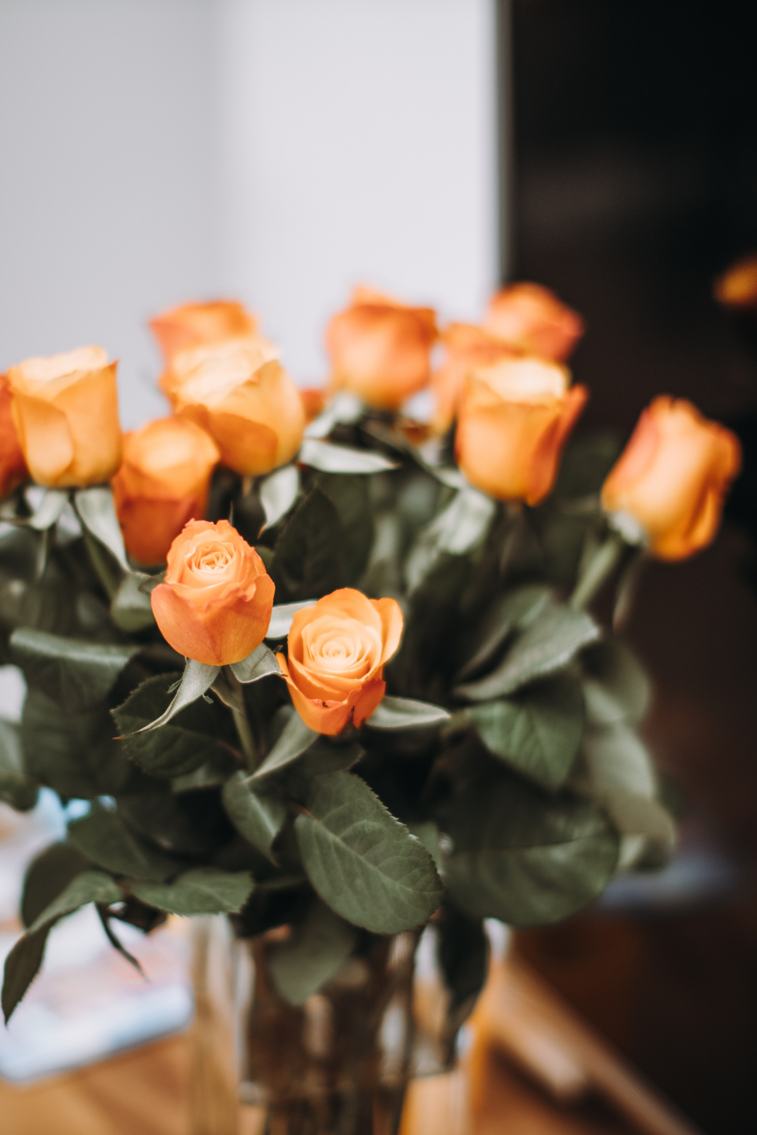 Kindergeburtstag. Dienstleistungen