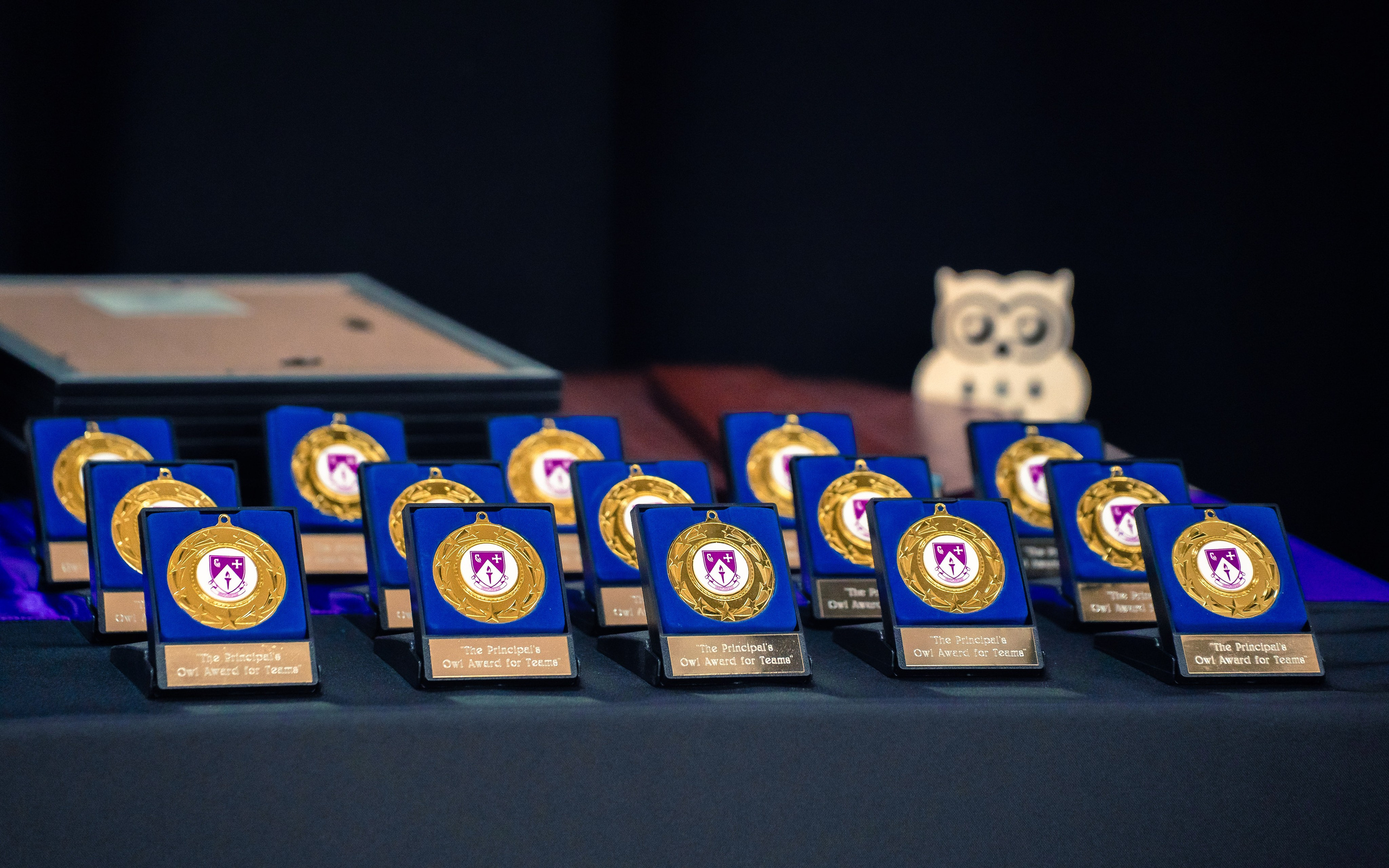 The Owl Society. Expect Miracles Photography