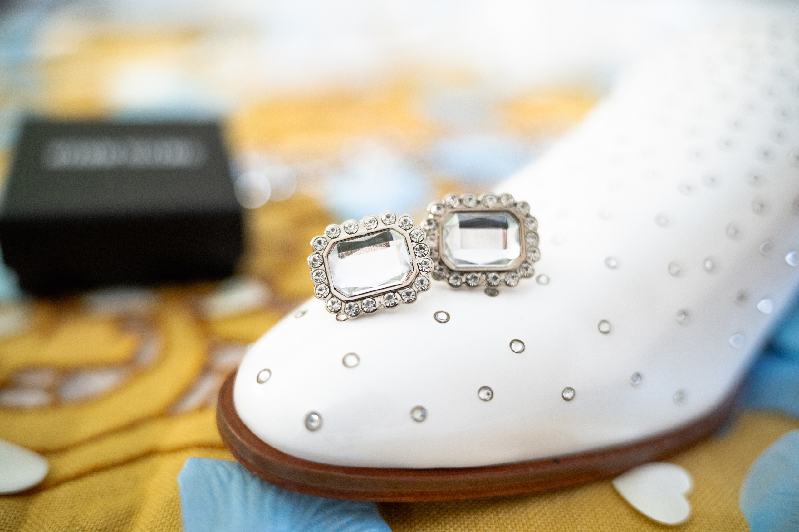 Antonietta + Anthony. Palumbo Studio