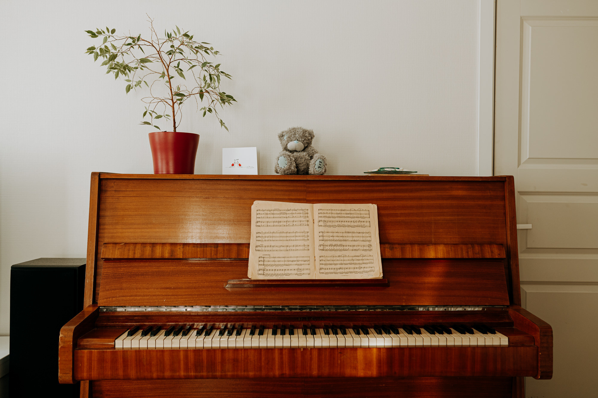 Gaidot mazuli ziemā ar klavierēm, karstu tēju un sniegpārslām