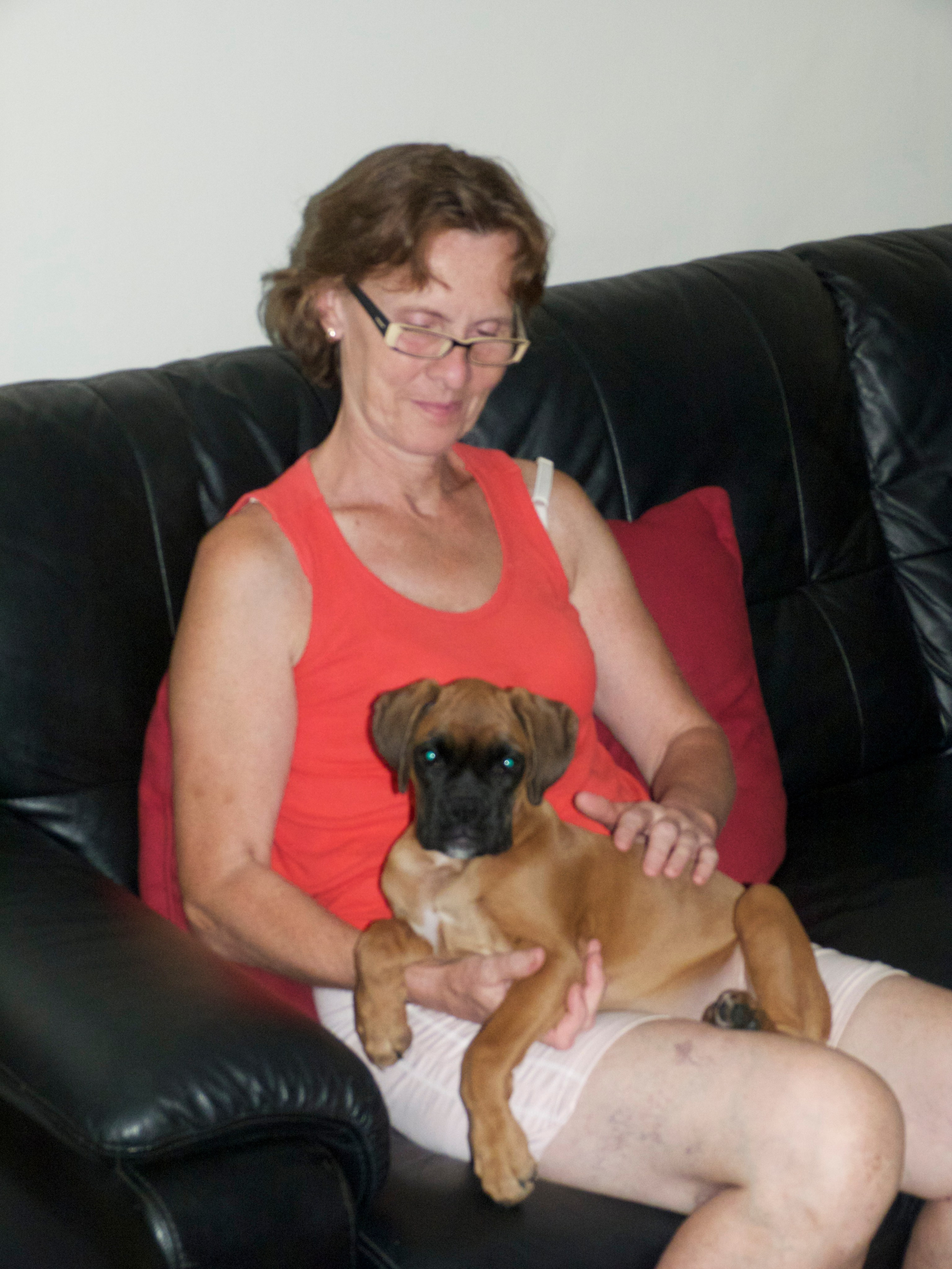 My ״Star״ Boxer Dog