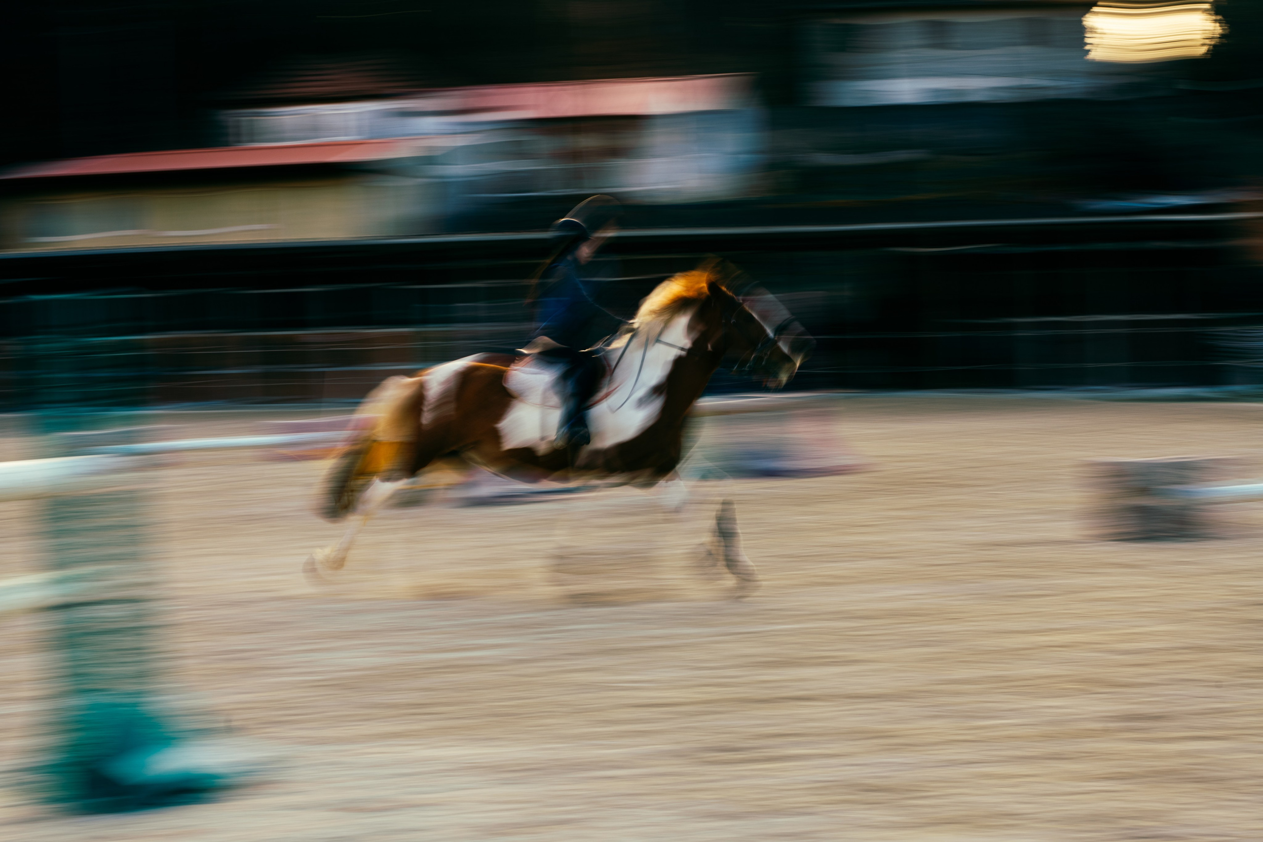 HORSES. Anastasiia Antoniuk portrait, family and couple photographer, Portugal