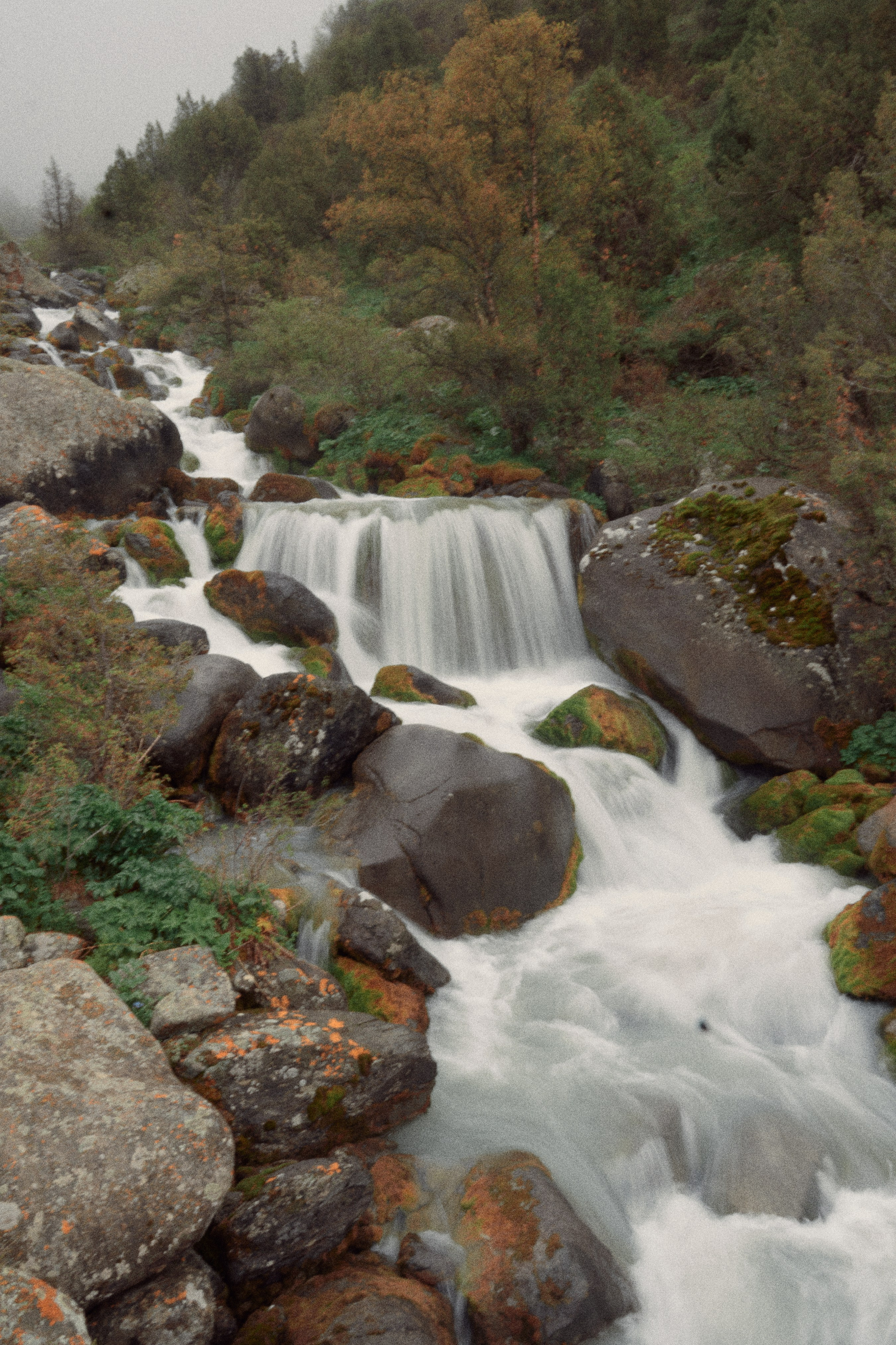 Nature. The Photographer
