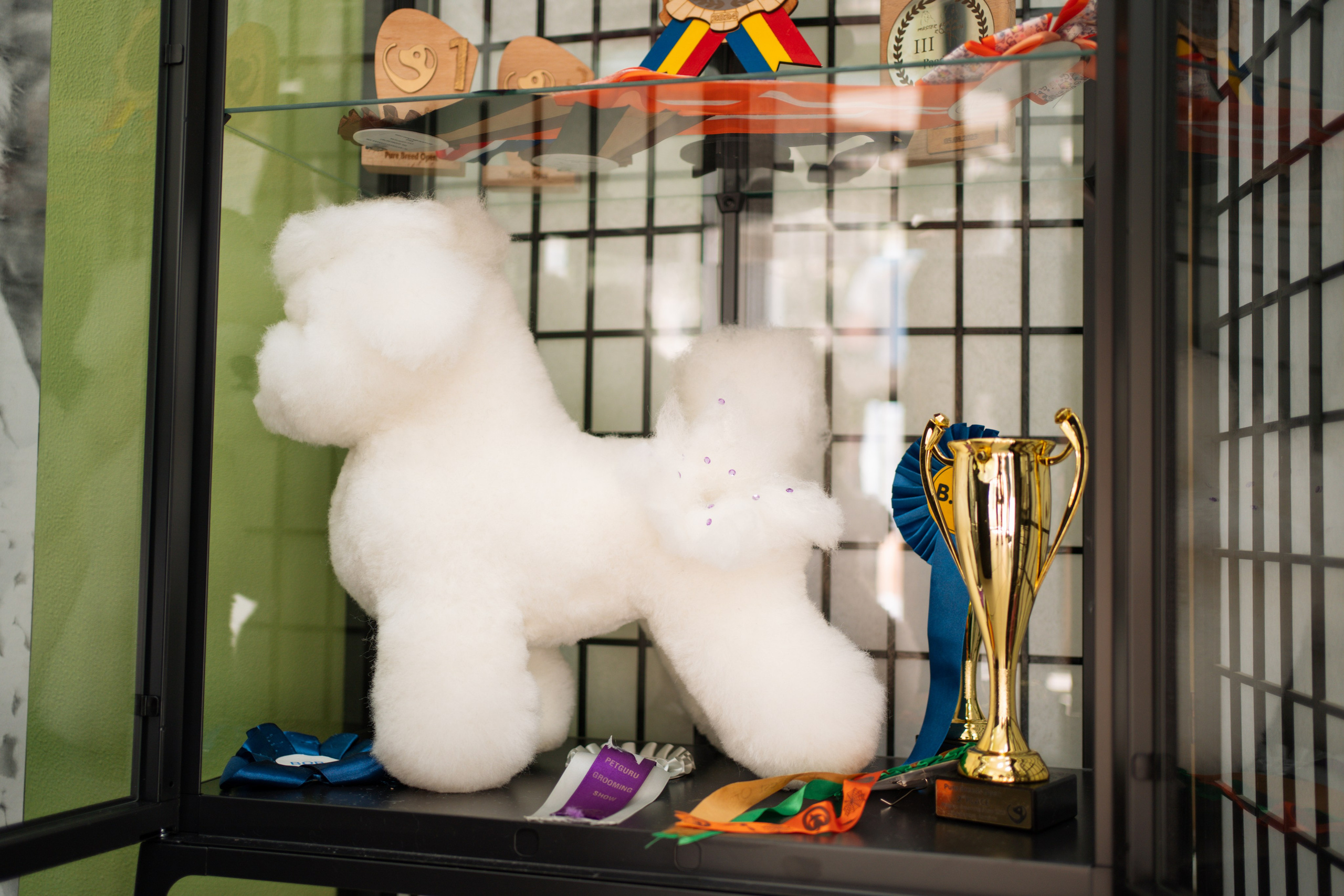 PetGroom Timisoara. Cozac Cristian Photographer