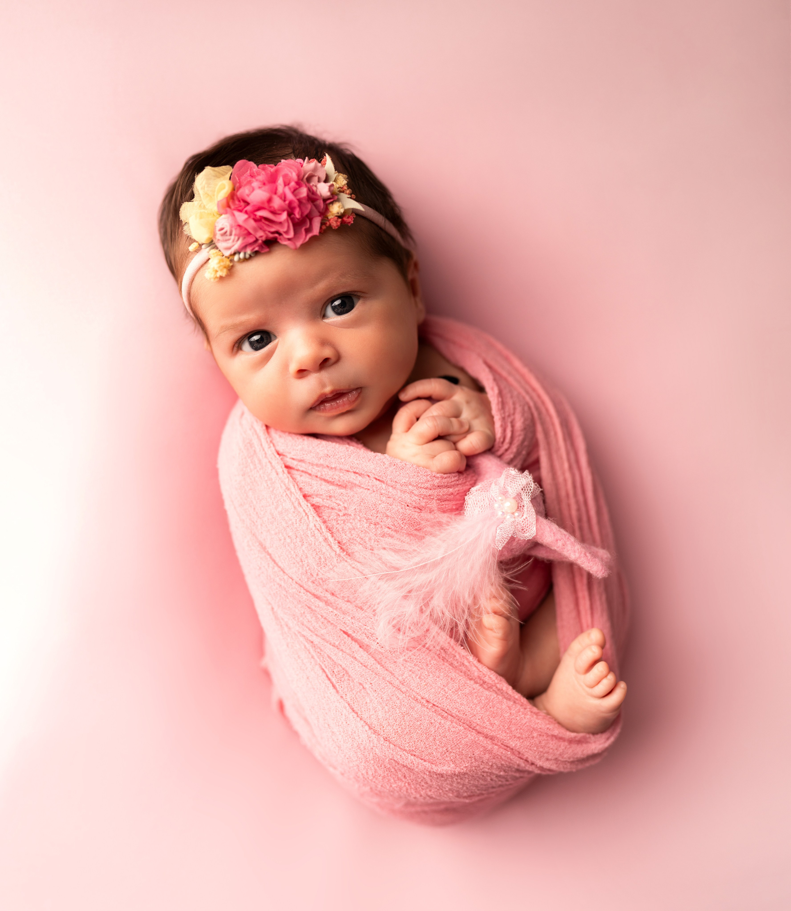 Newborn photography in Westchase, Florida
