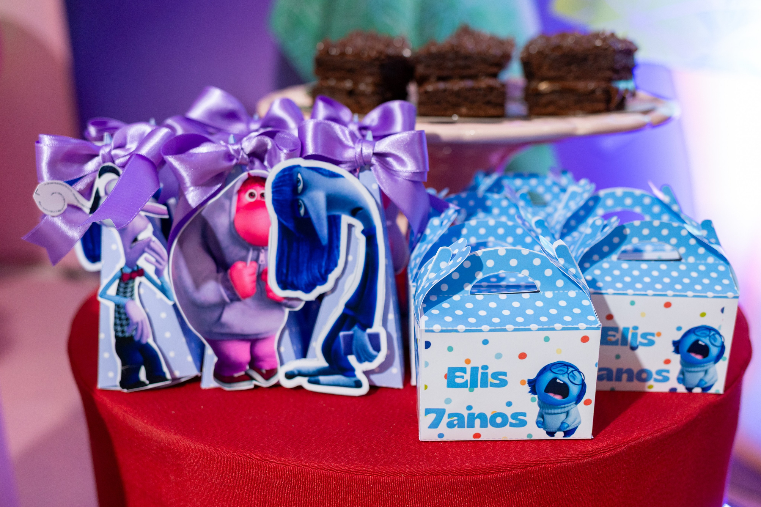 Elis 7 anos. Bem-vindo ao Meu Mundo Fotográfico