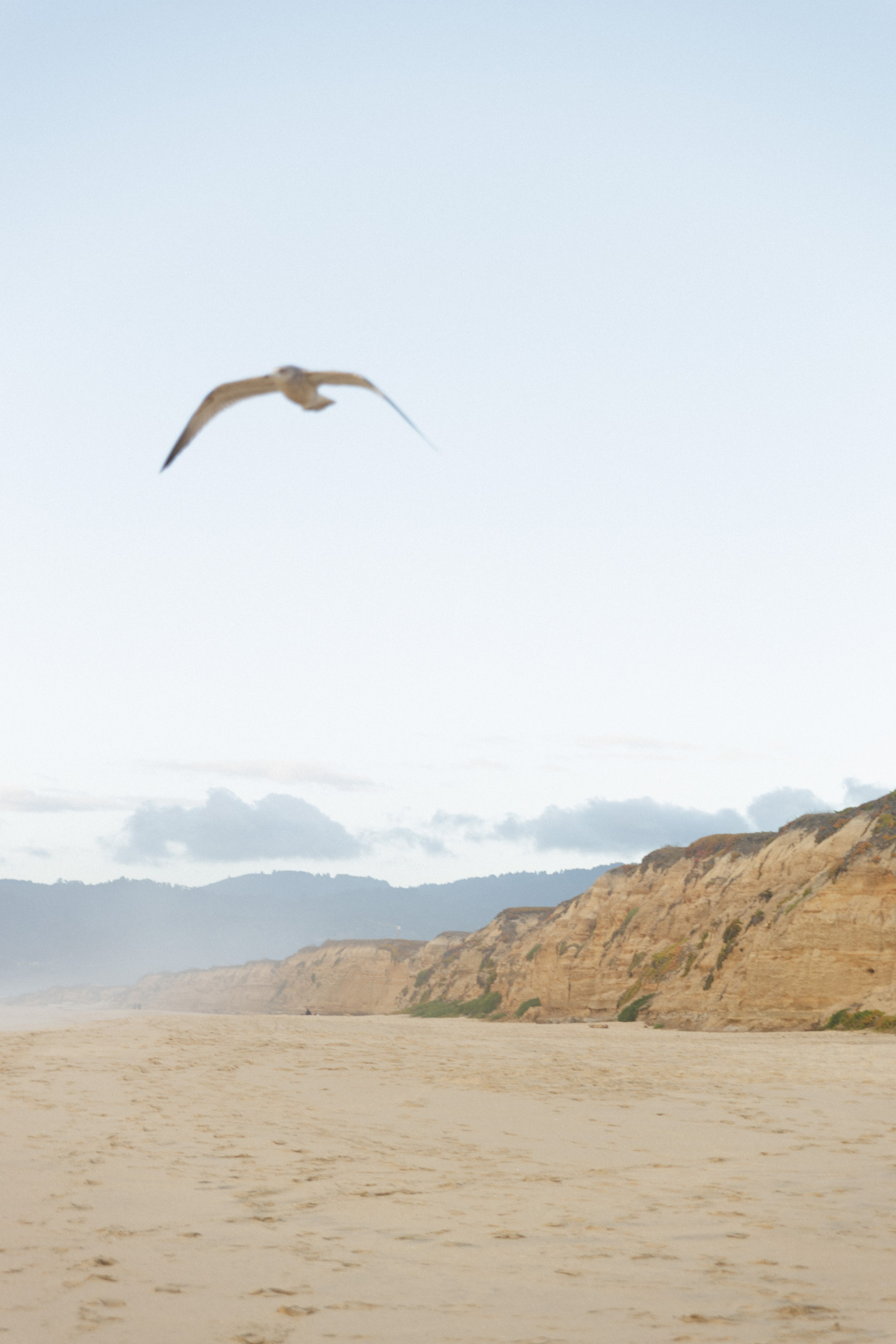 Wild Beauty on the Californian Beach. Maternity, newborn photographer in the Bay Area|Iryna Rakivnenko