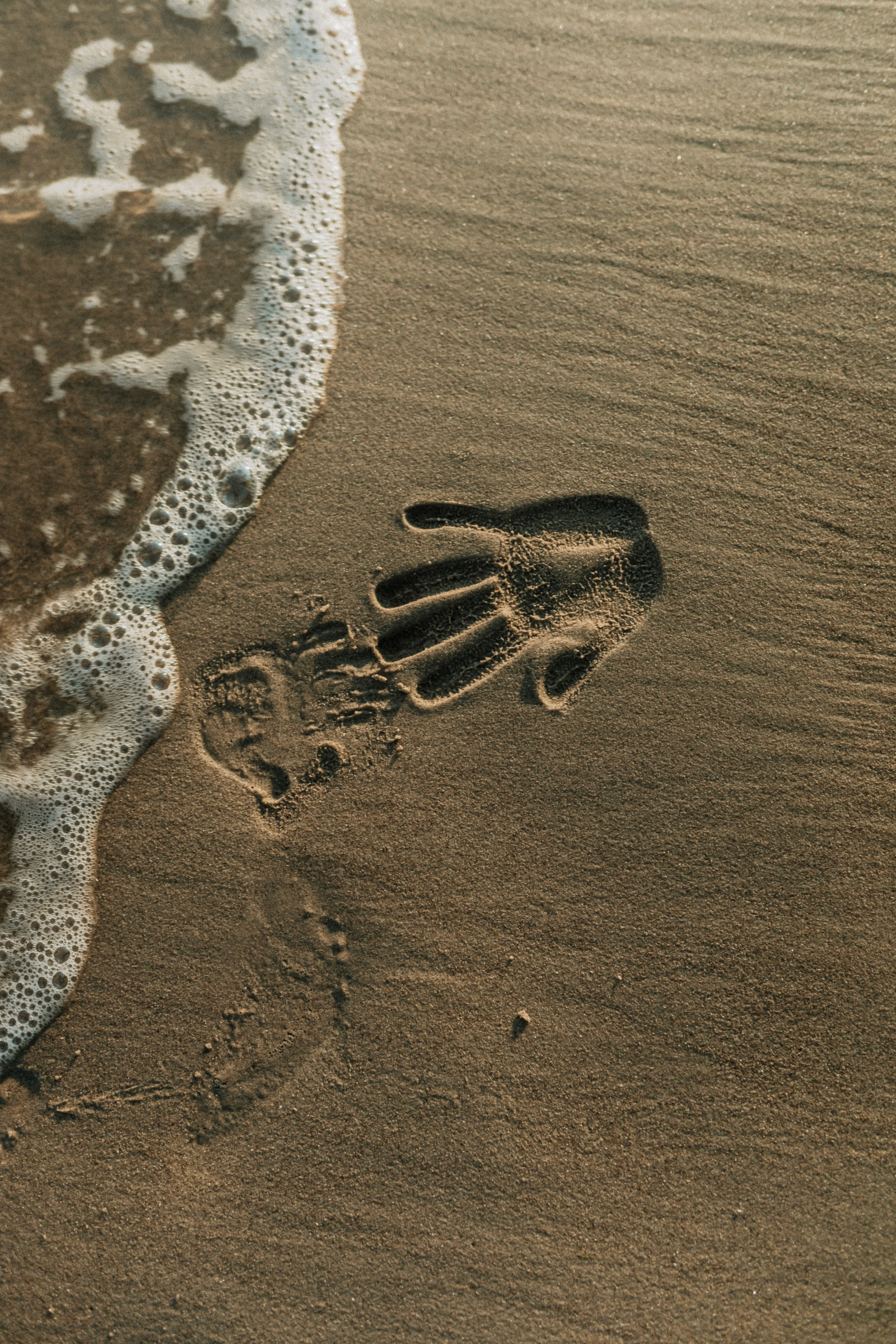 Violetta & Bryson. Sasha Amelie — Lifestyle Photographer NYC