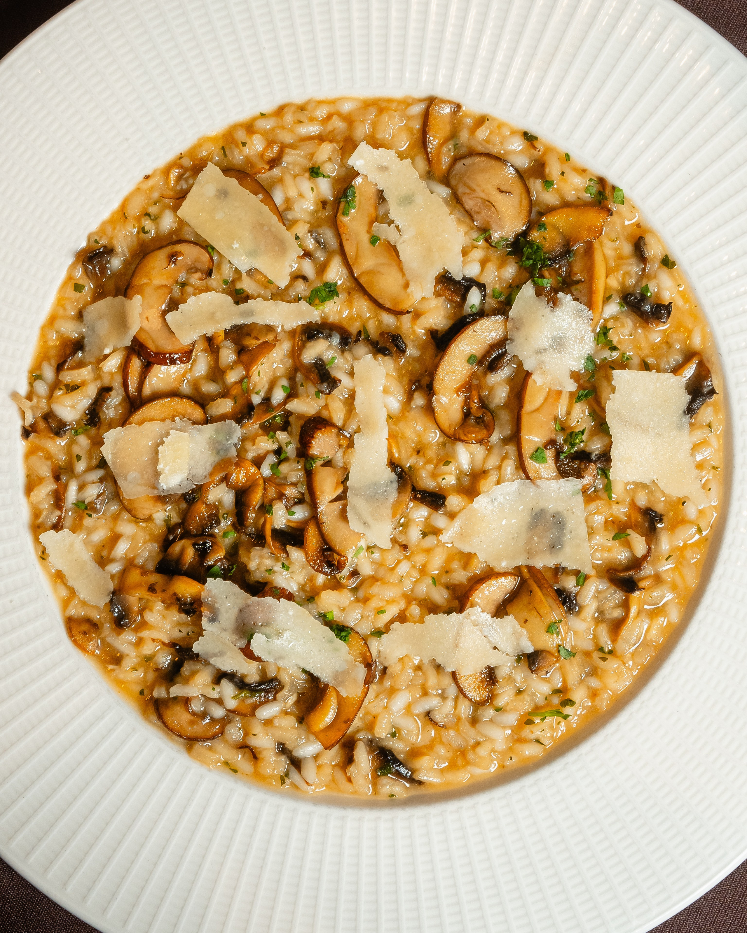 Luna. Welcome to my video and photo world!