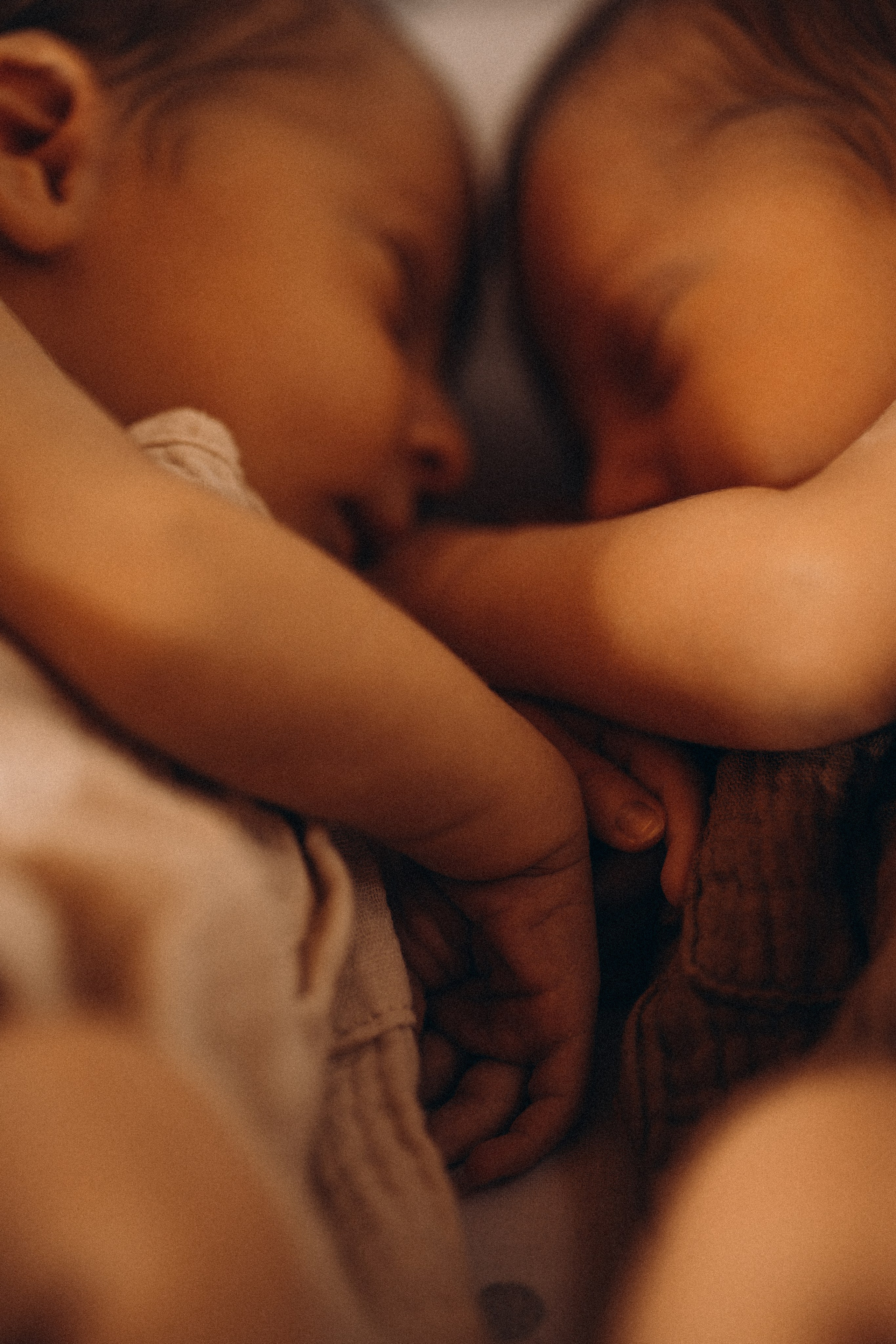 Newborn. Photographer Madeira