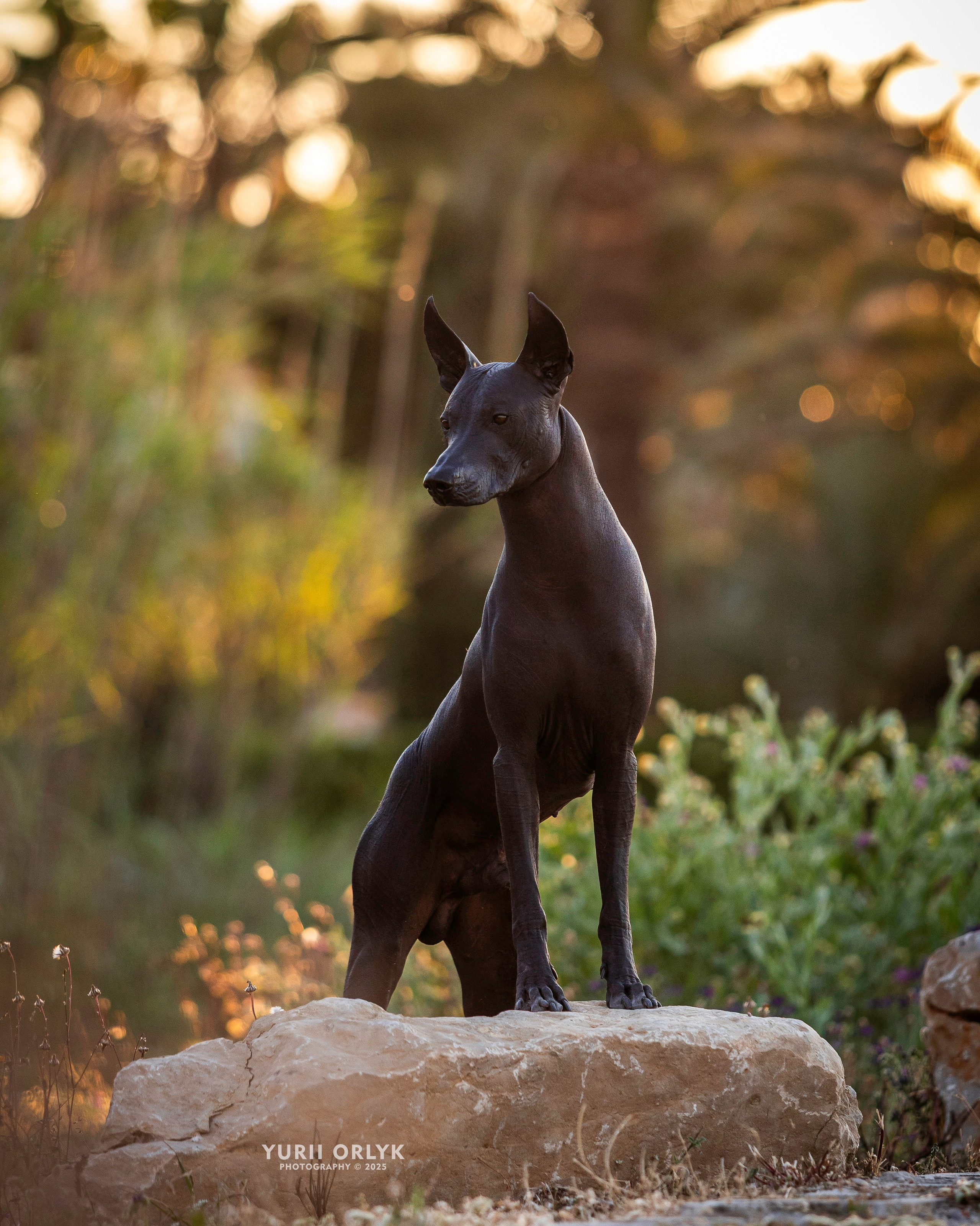 Yurii Orlyk Photography