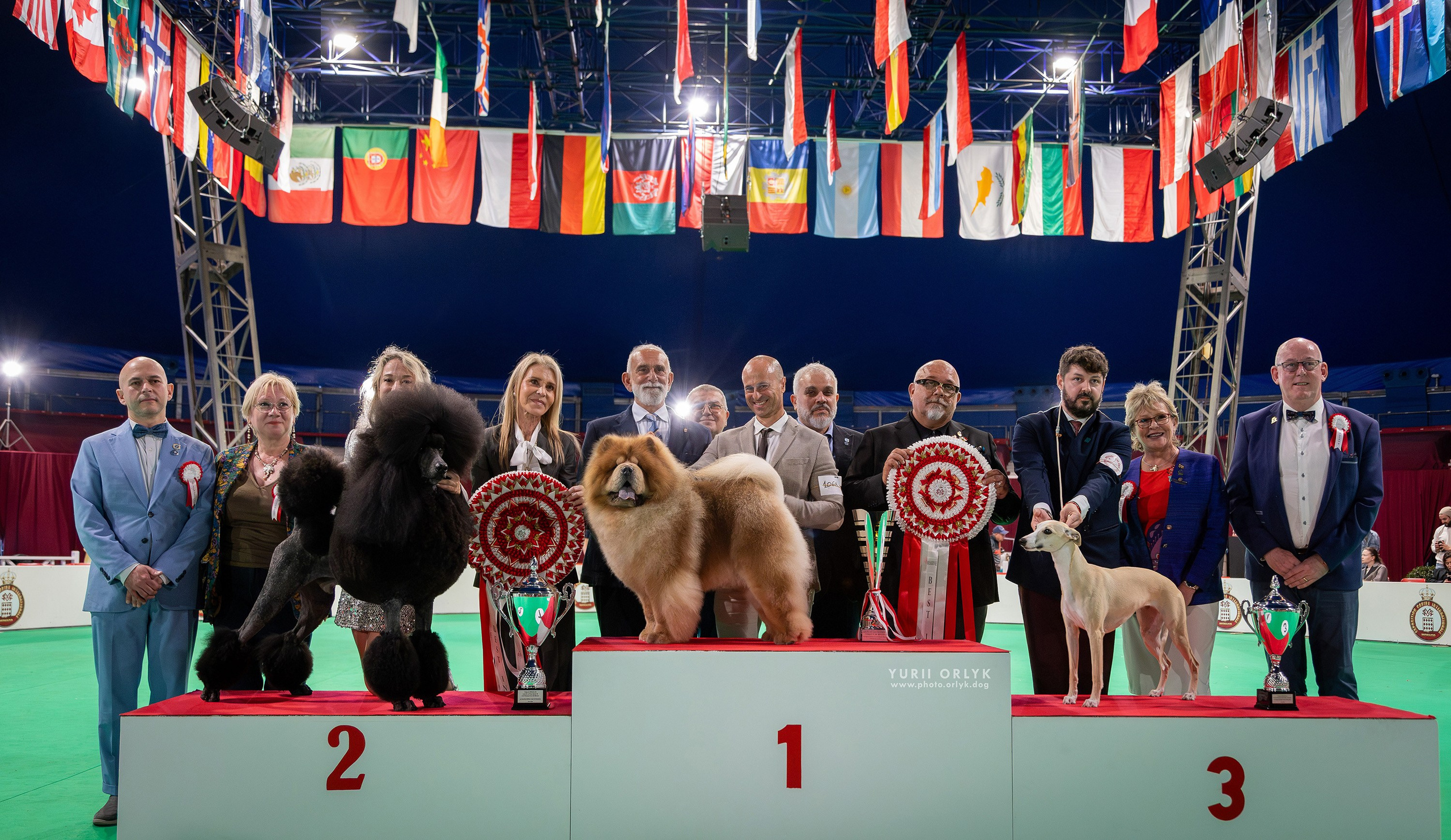 Dog Shows. Yurii Orlyk Photography