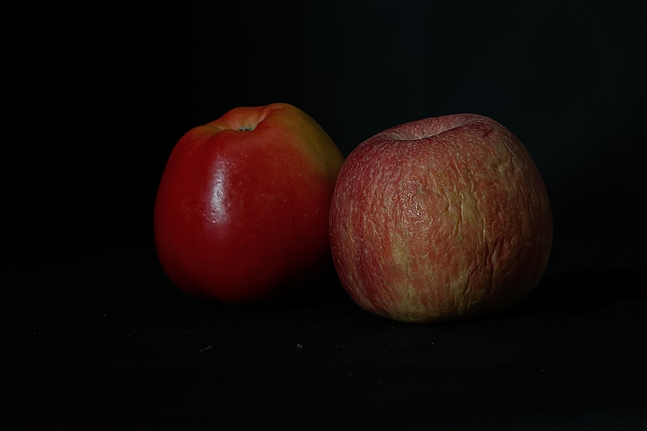 Предметная съемка. Фотограф Таня Уорд Бидефорд Пермь Эксетер Плимут Лондон