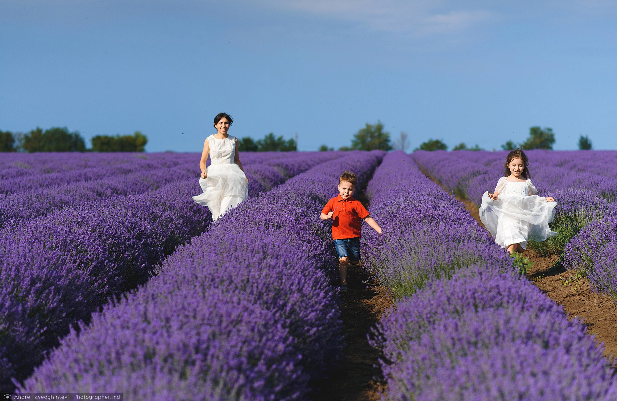 Family photosession in lavender in Moldova — family and wedding photographer Andrei Zveaghintev. Wedding and family photographer in Moldova, Chisinau— Andrei Zveaghintev
