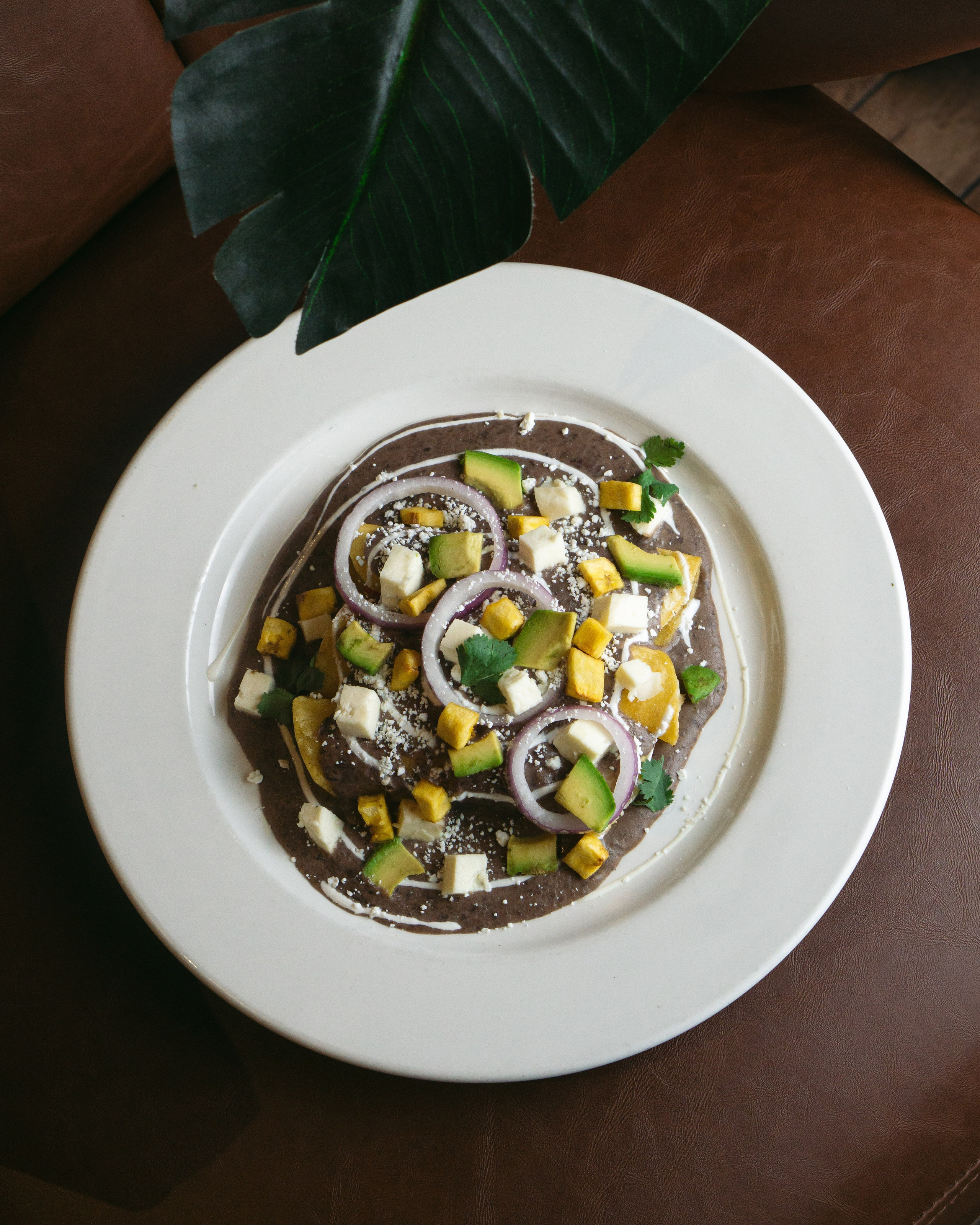 Anthony. Welcome to my video and photo world!