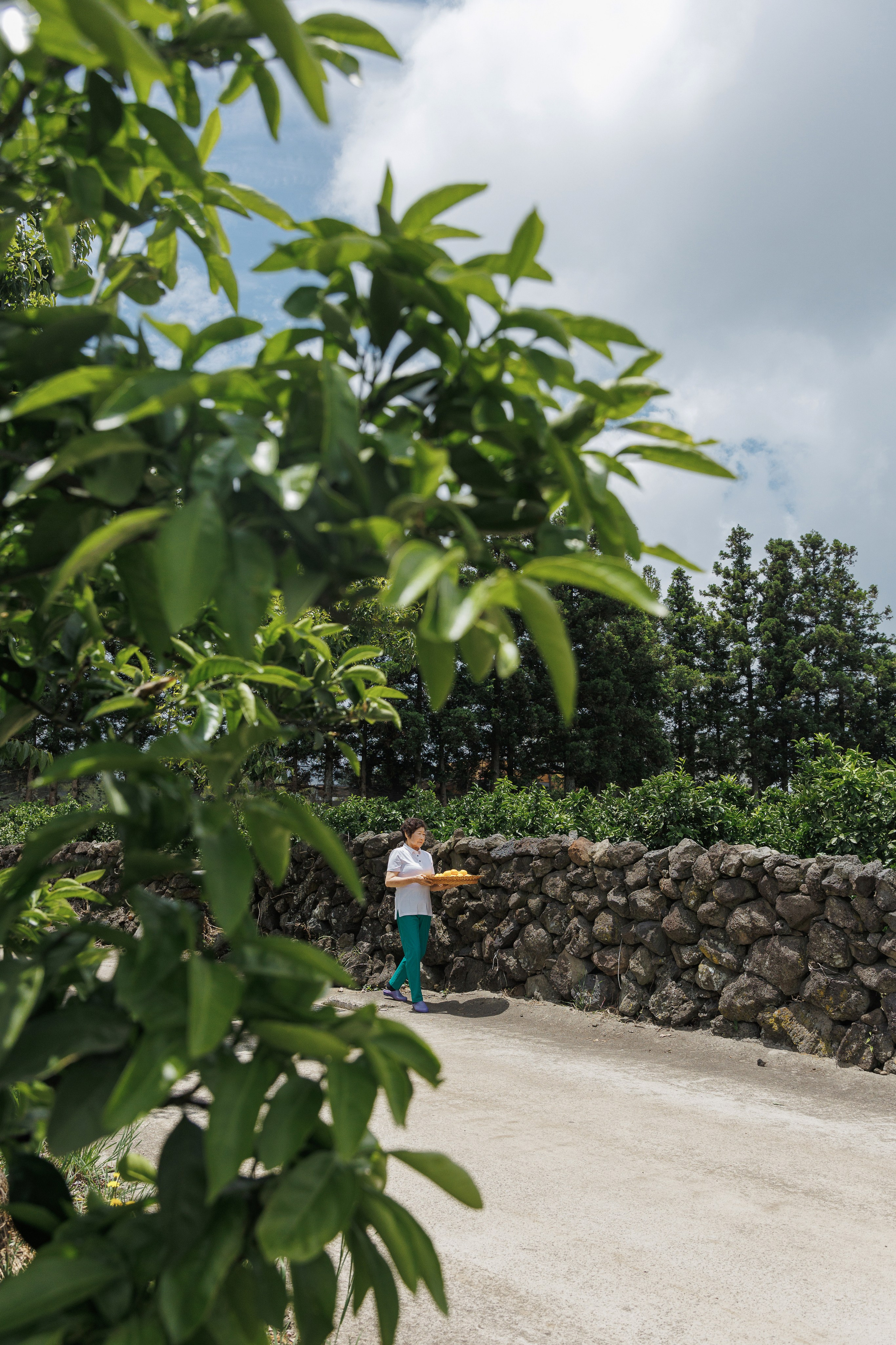 Jeju Island K-Beauty Tour (bohicare). Portrait photographer in South Korea Olga Lian