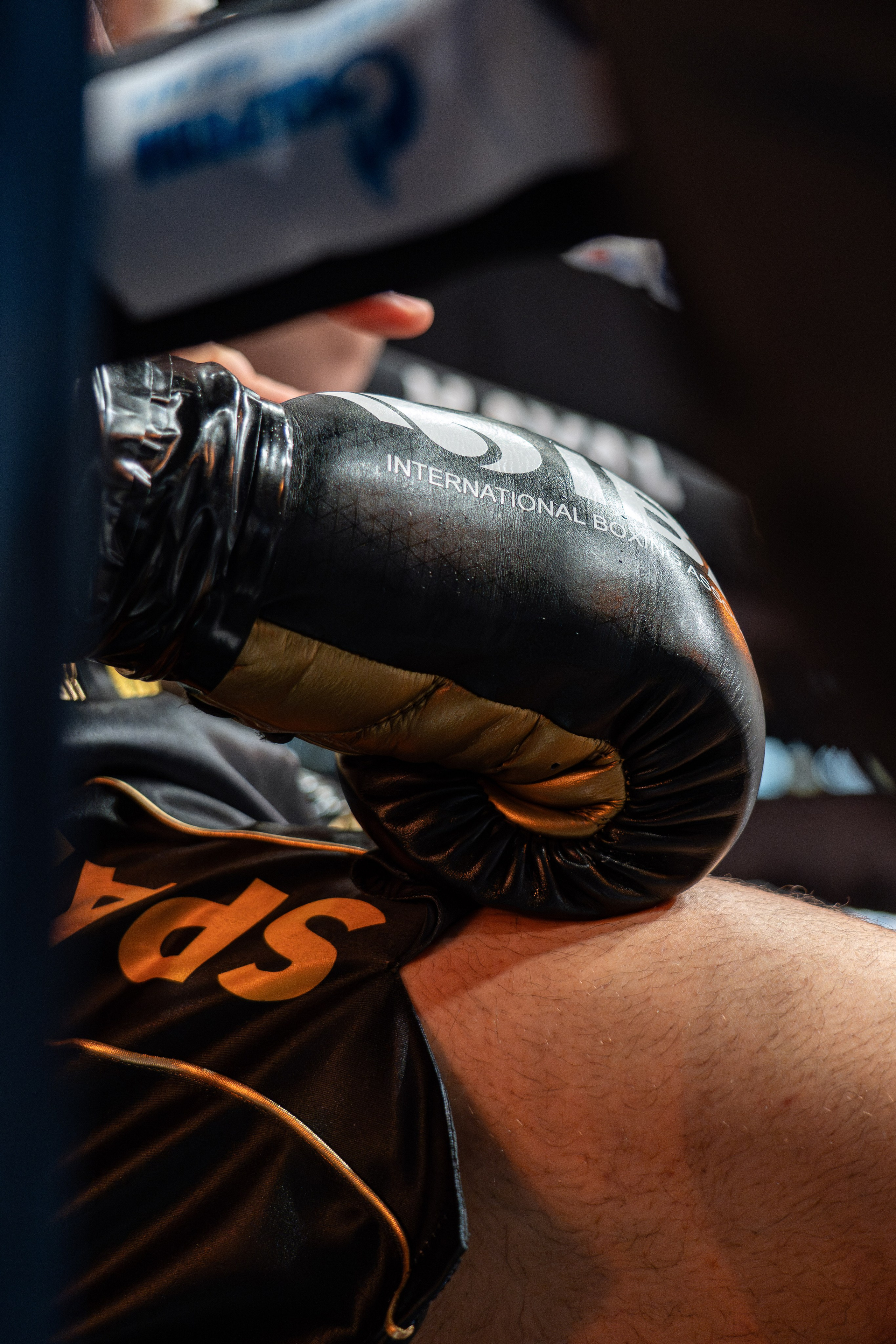 IBA Champions’ Night 2024 in Tashkent. Георгий Намазов | Фотограф в Ташкенте