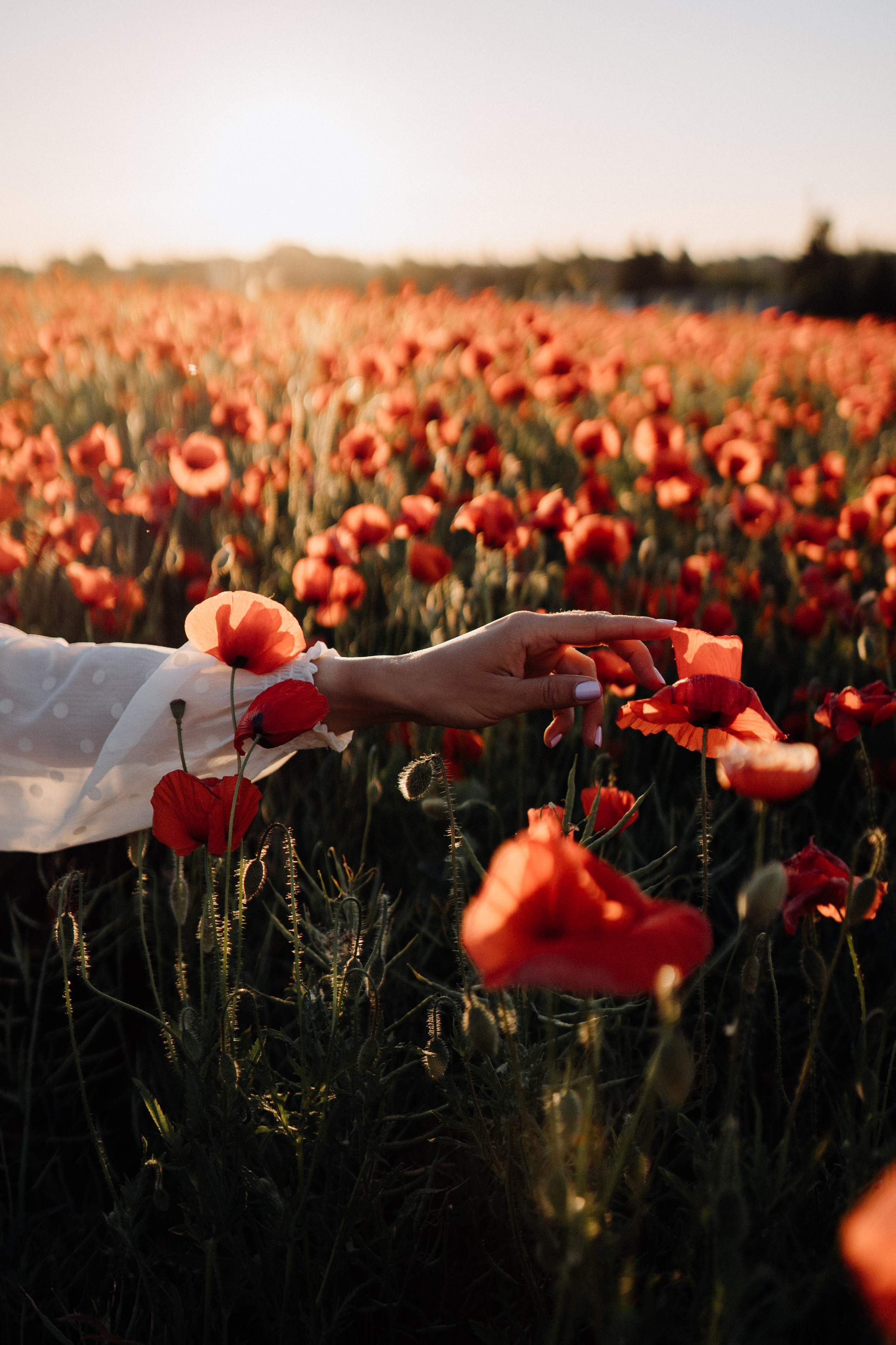 Anastasia. Фотограф в Праге Анна Лебедева