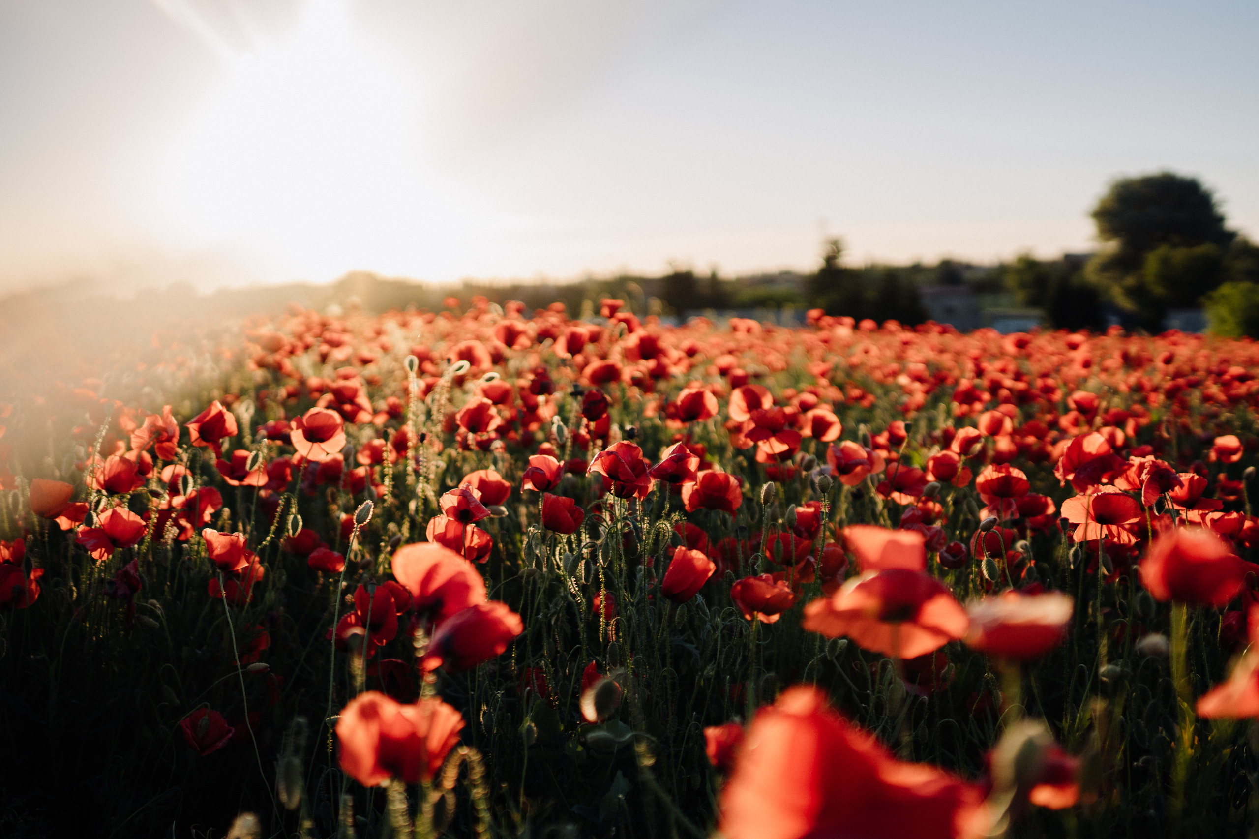 Anastasia. Фотограф в Праге Анна Лебедева