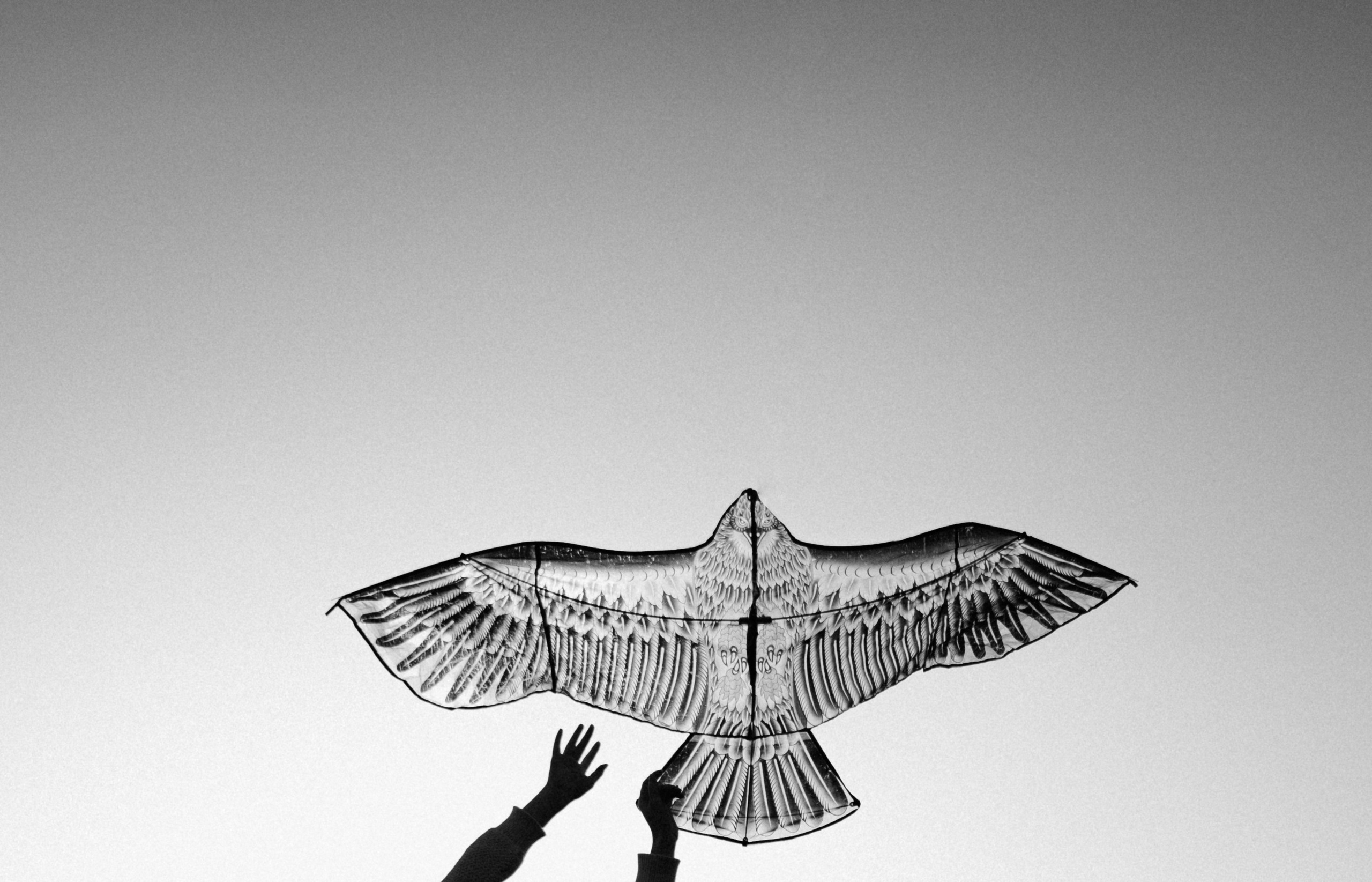 Fly. Фотограф в Праге Анна Лебедева