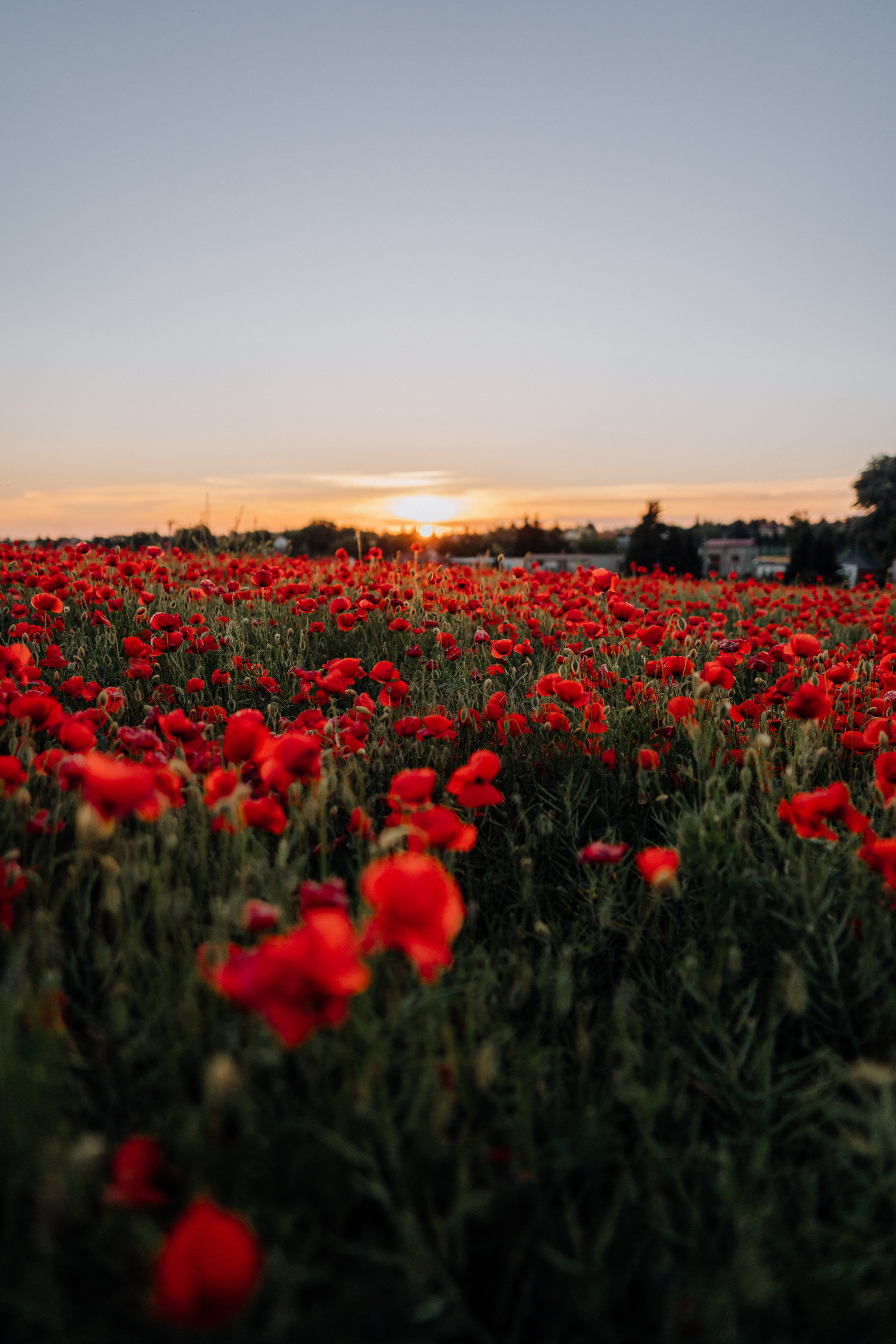 Anastasia. Фотограф в Праге Анна Лебедева