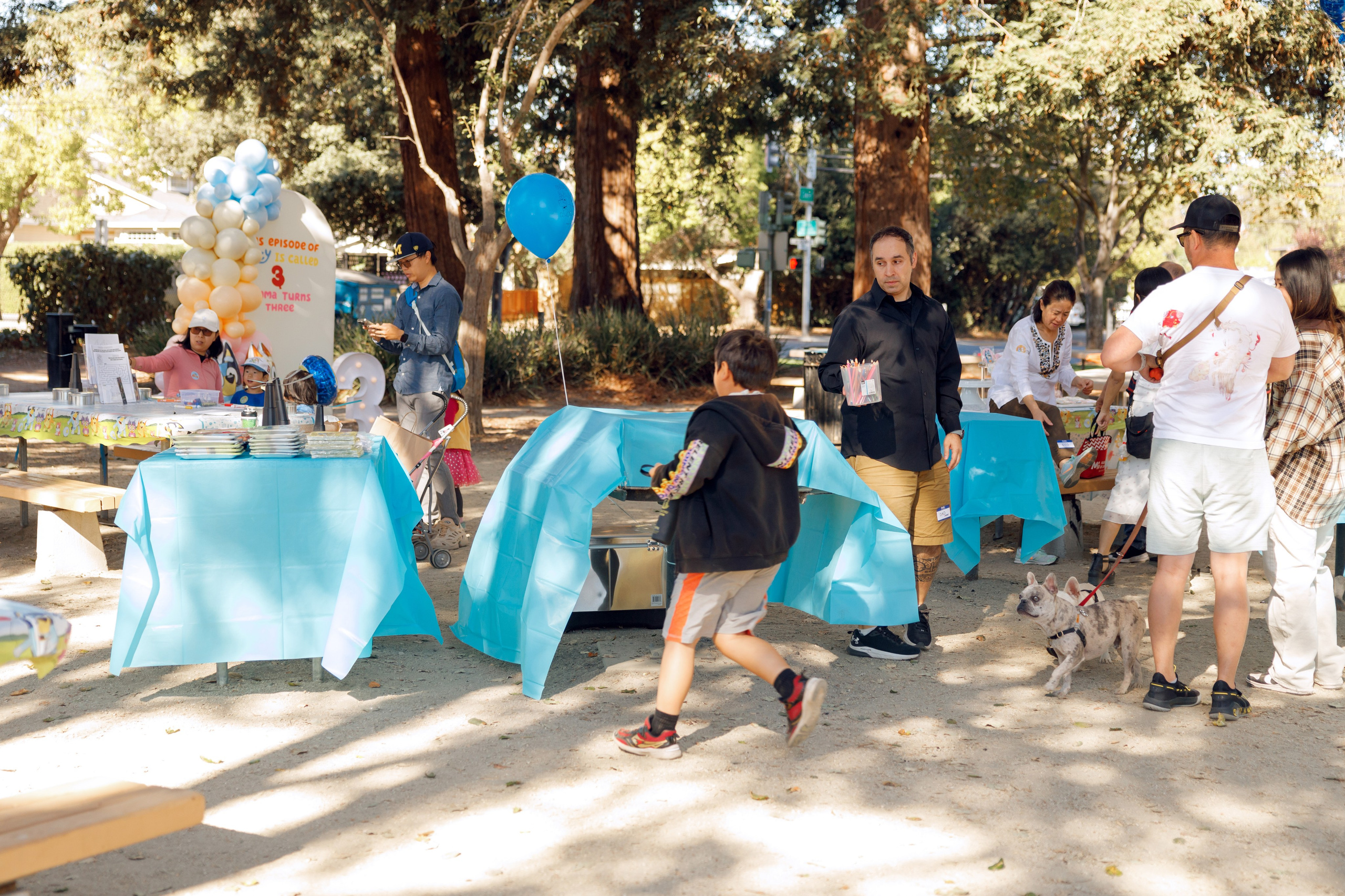 3rd birthday. Family and Event photographer in Bay Area Elena Tiuriumina