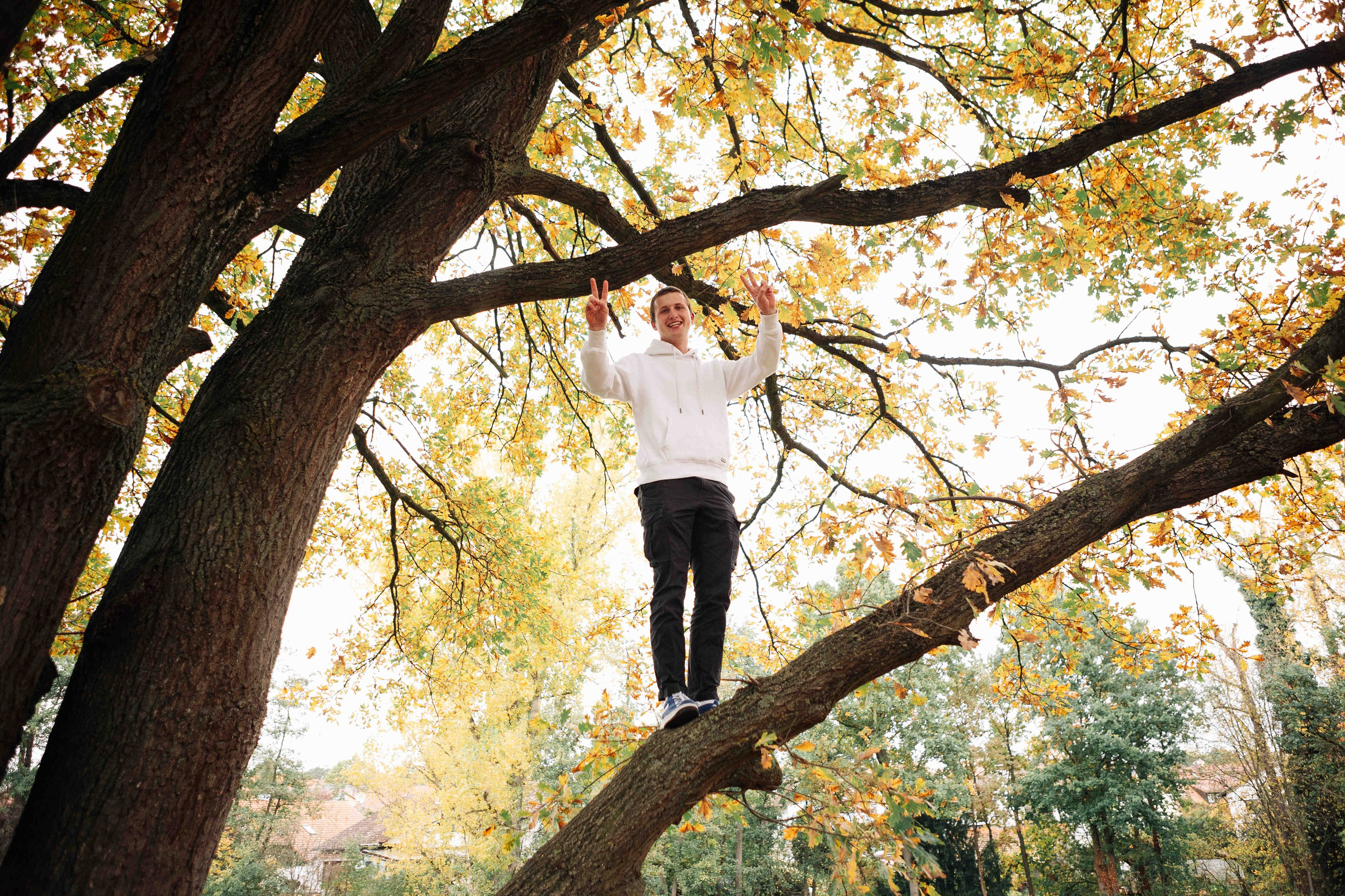 BIG OAK, BIG FAMILY. Https://shi-photo.com/