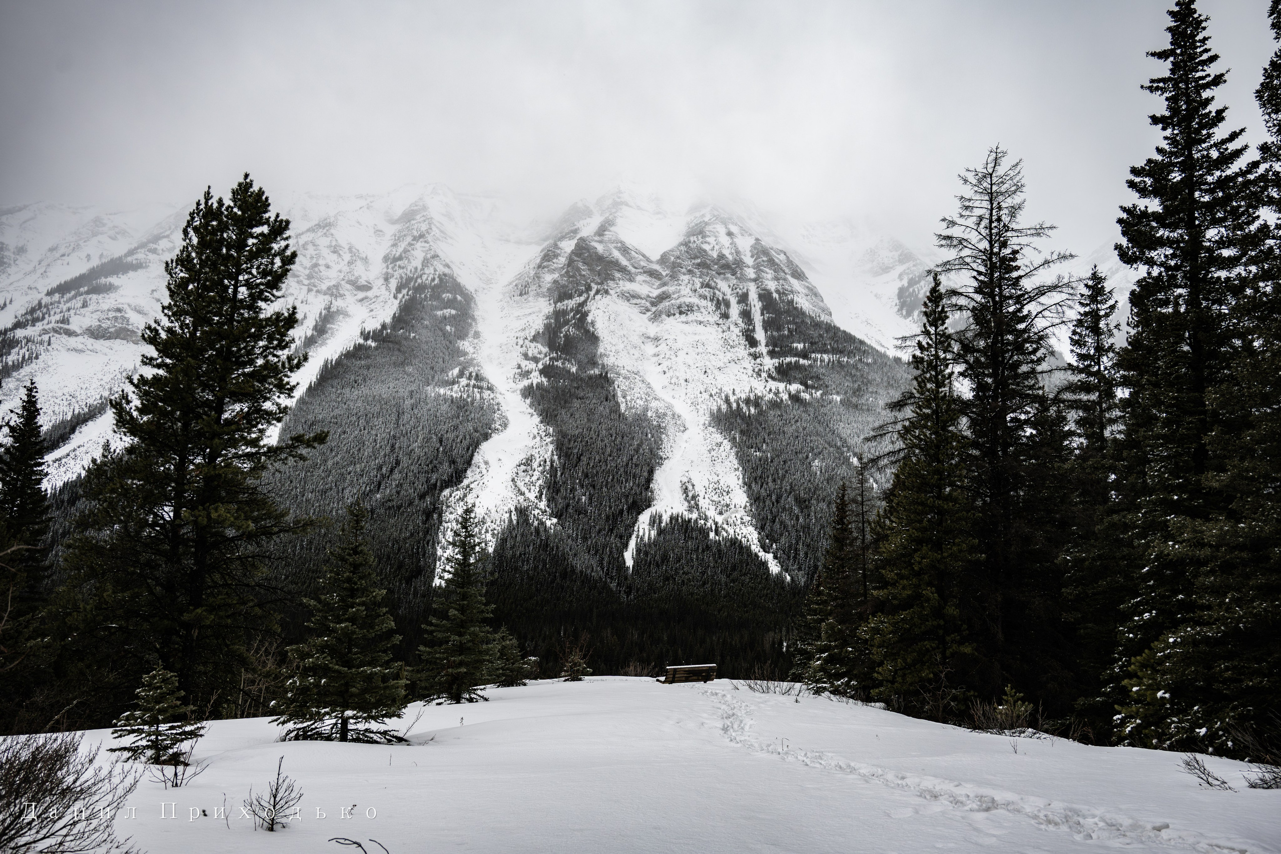 Danil Prikhodko Photography