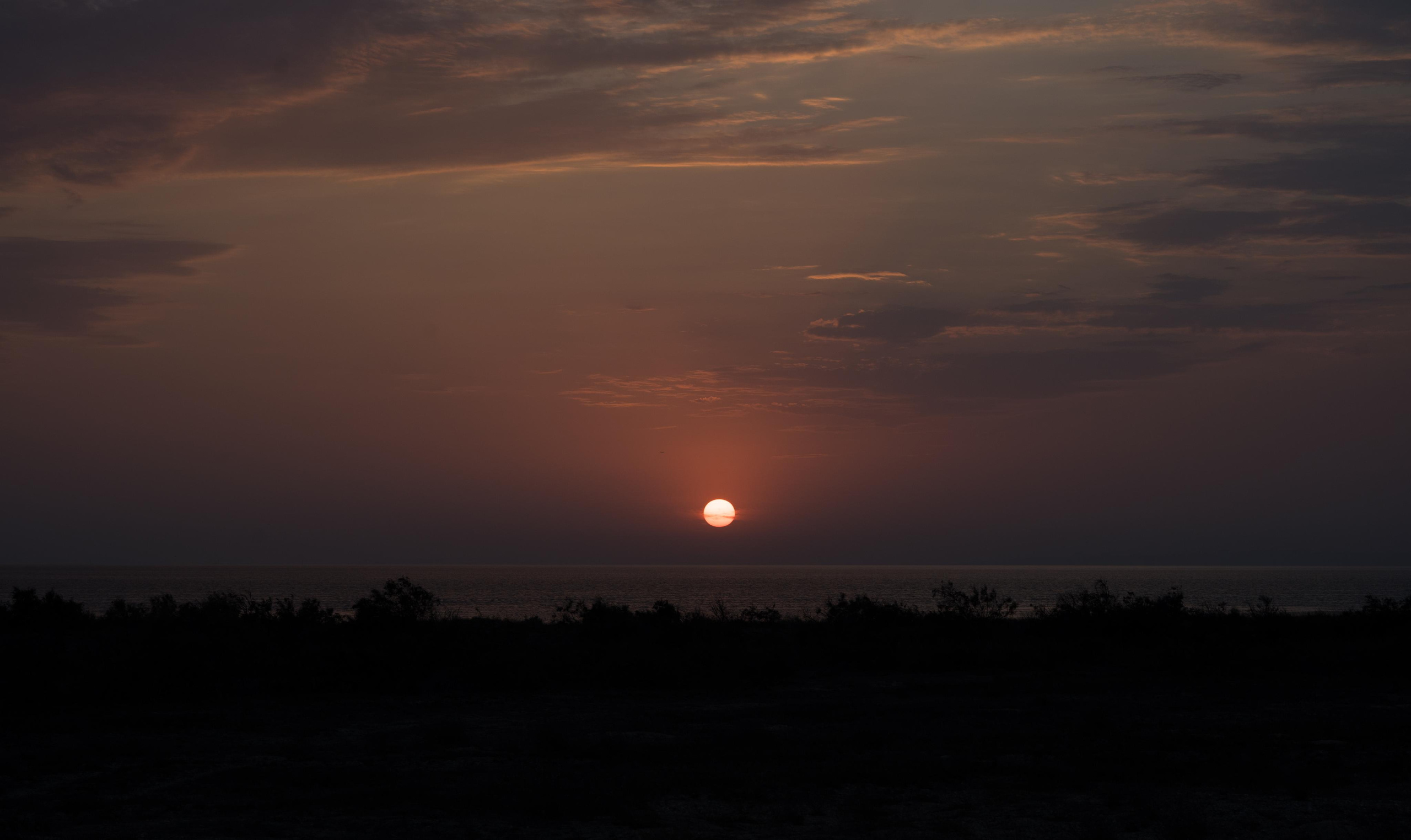 Proposal. Наргиз Сулейманова - Фотограф в Азербайджане
