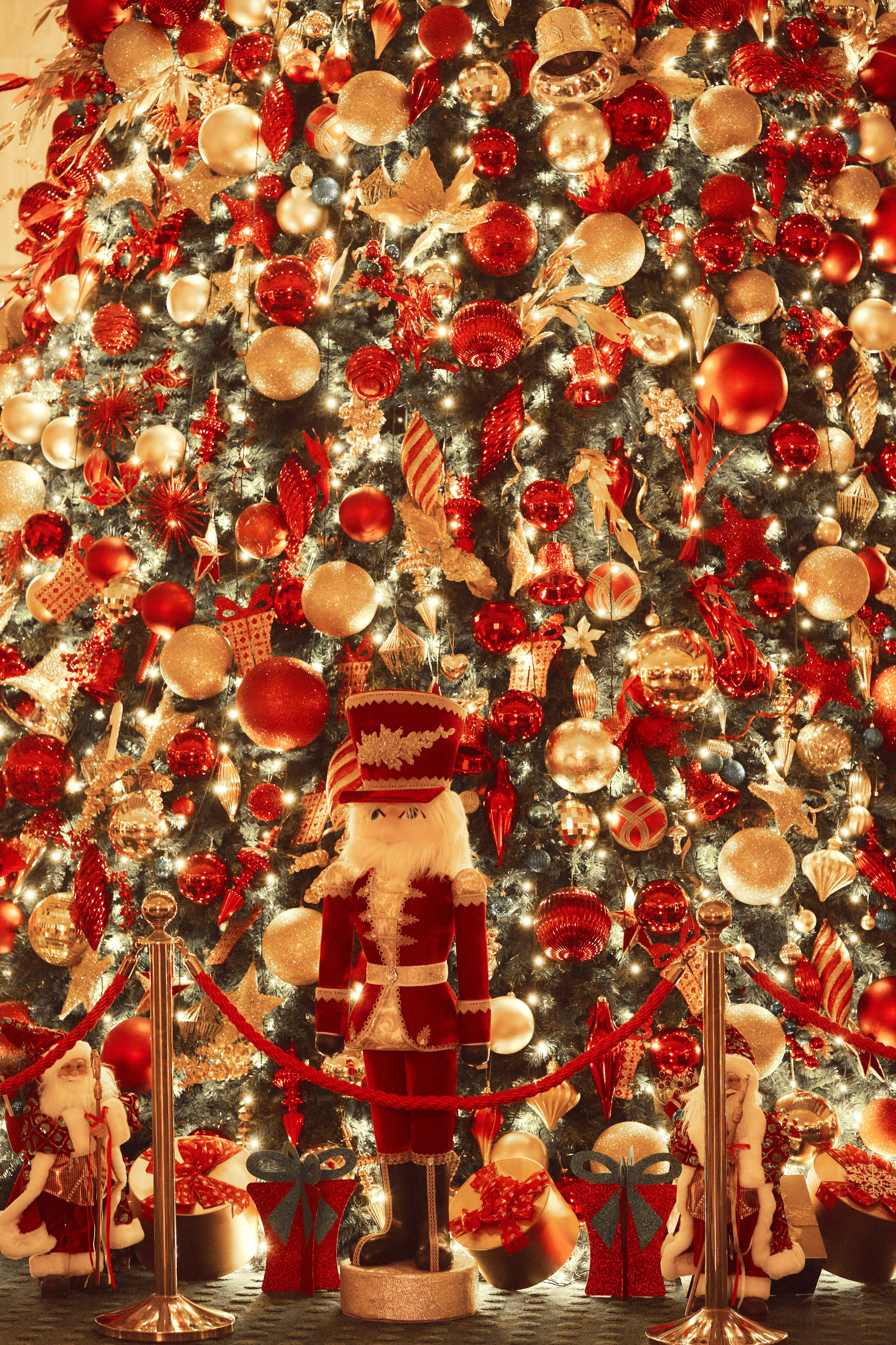 Event Photographer. Photographer in Doha, Qatar