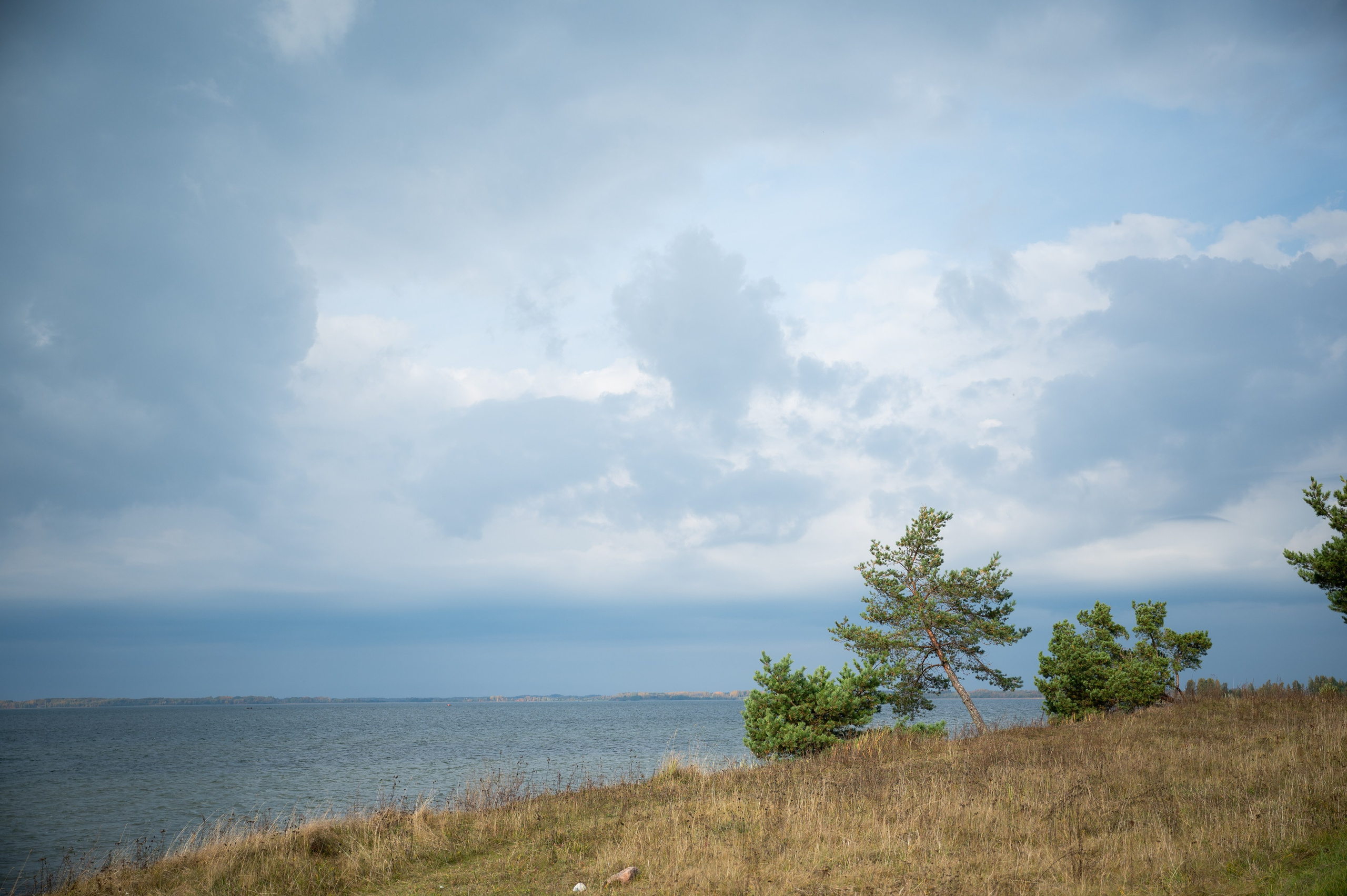 Sandis & Ieva. Ritvars Pujats Emotion Photographer